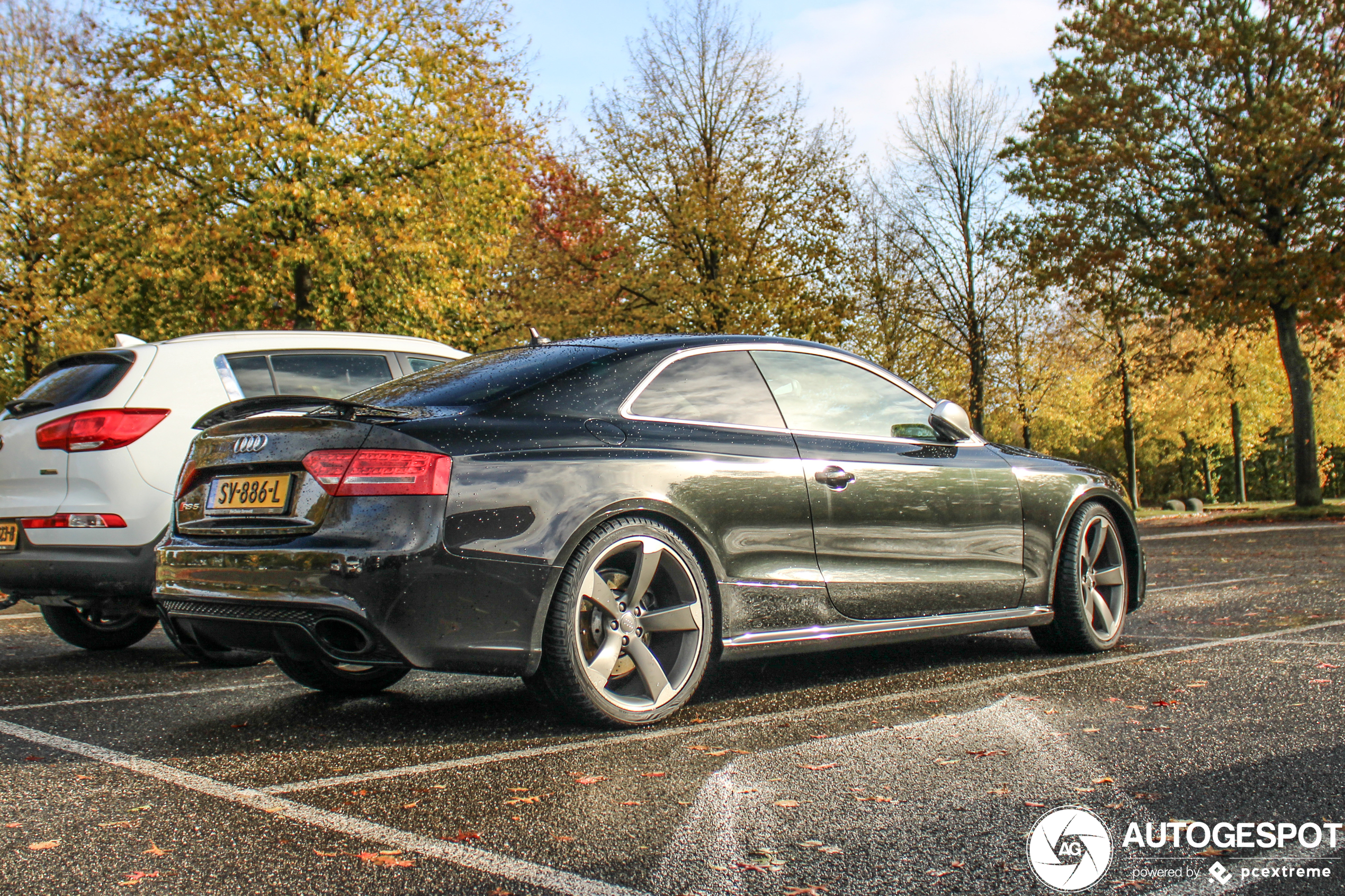 Audi RS5 8T