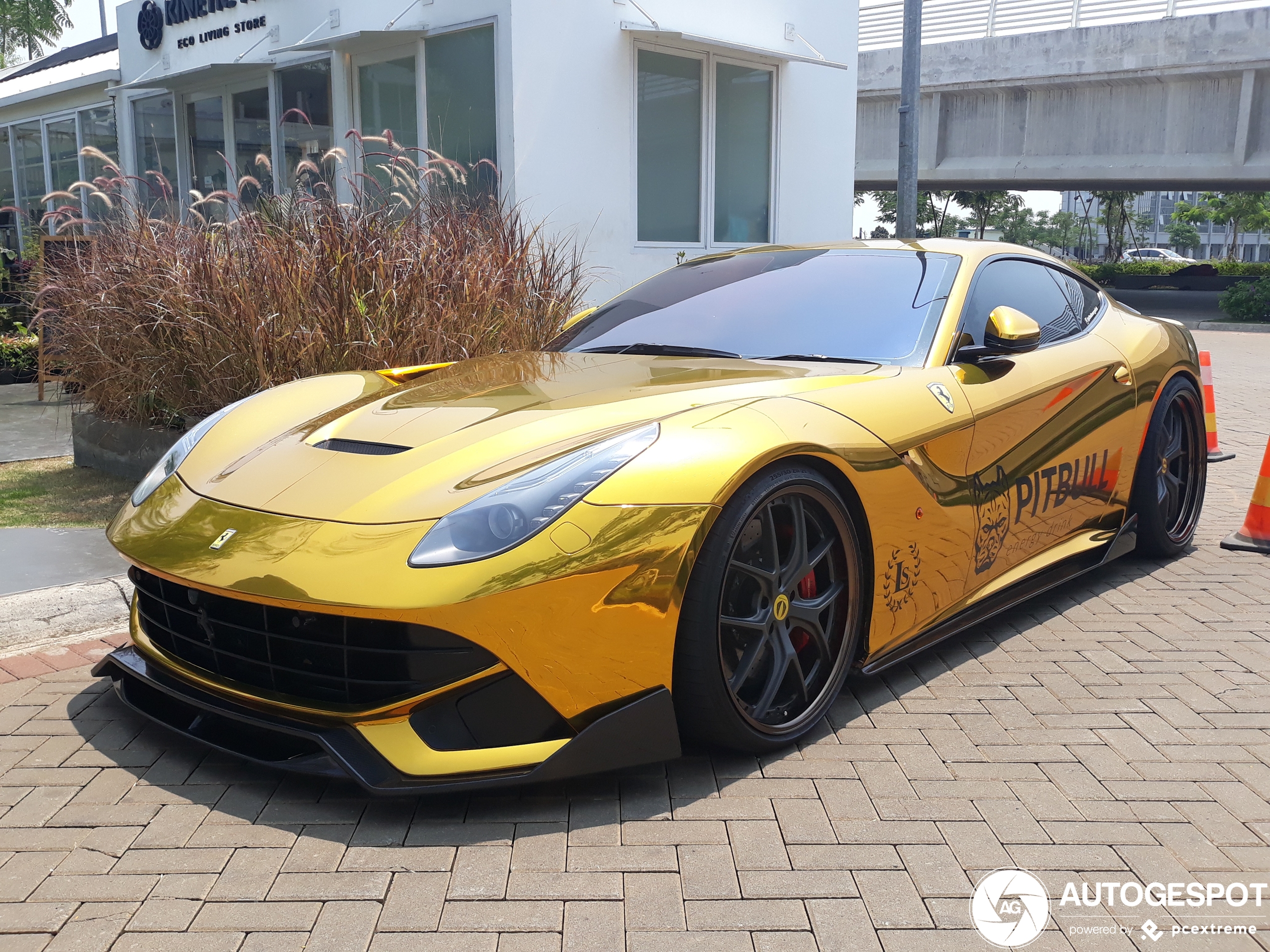 Ferrari F12berlinetta DMC SPIA