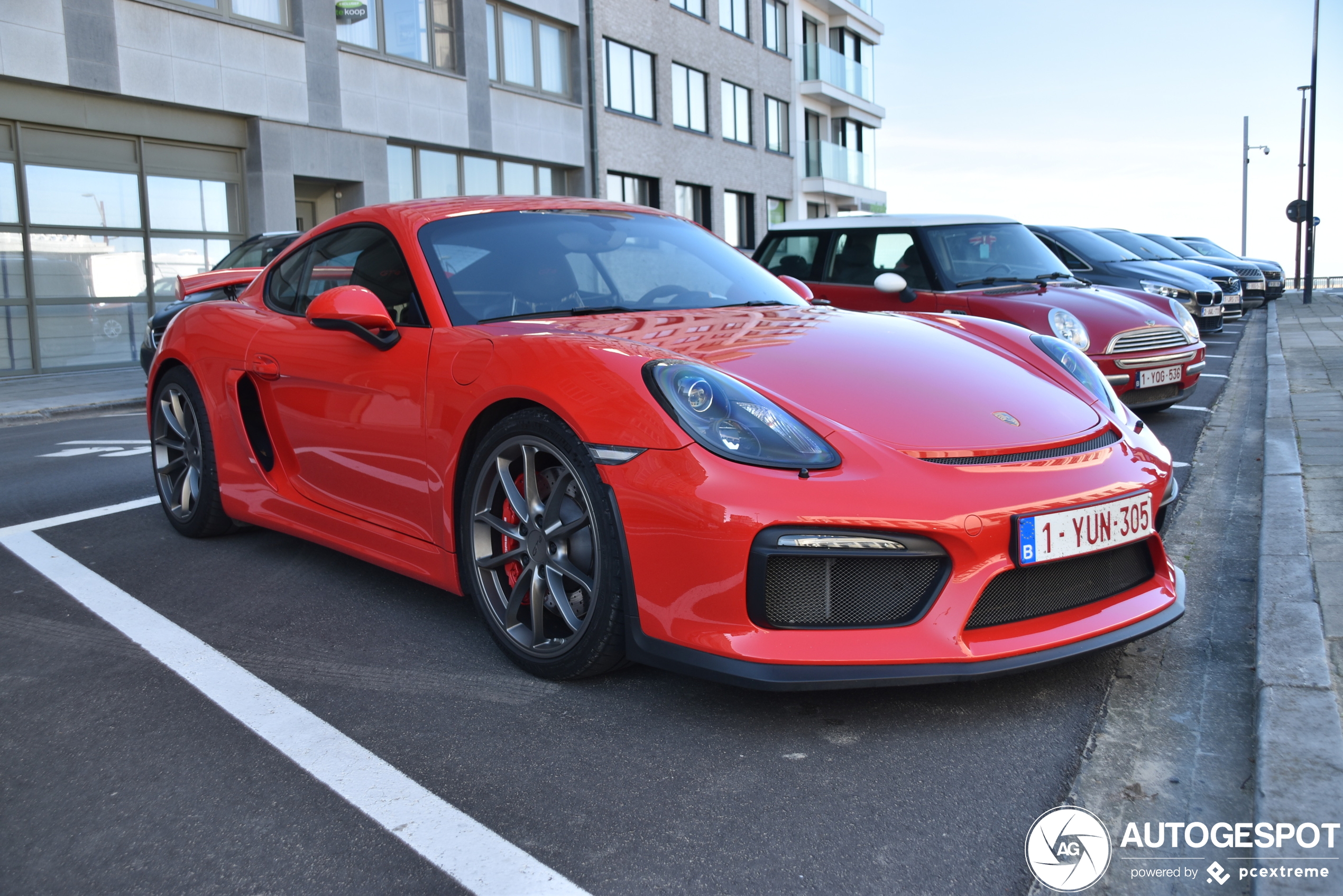 Porsche 981 Cayman GT4