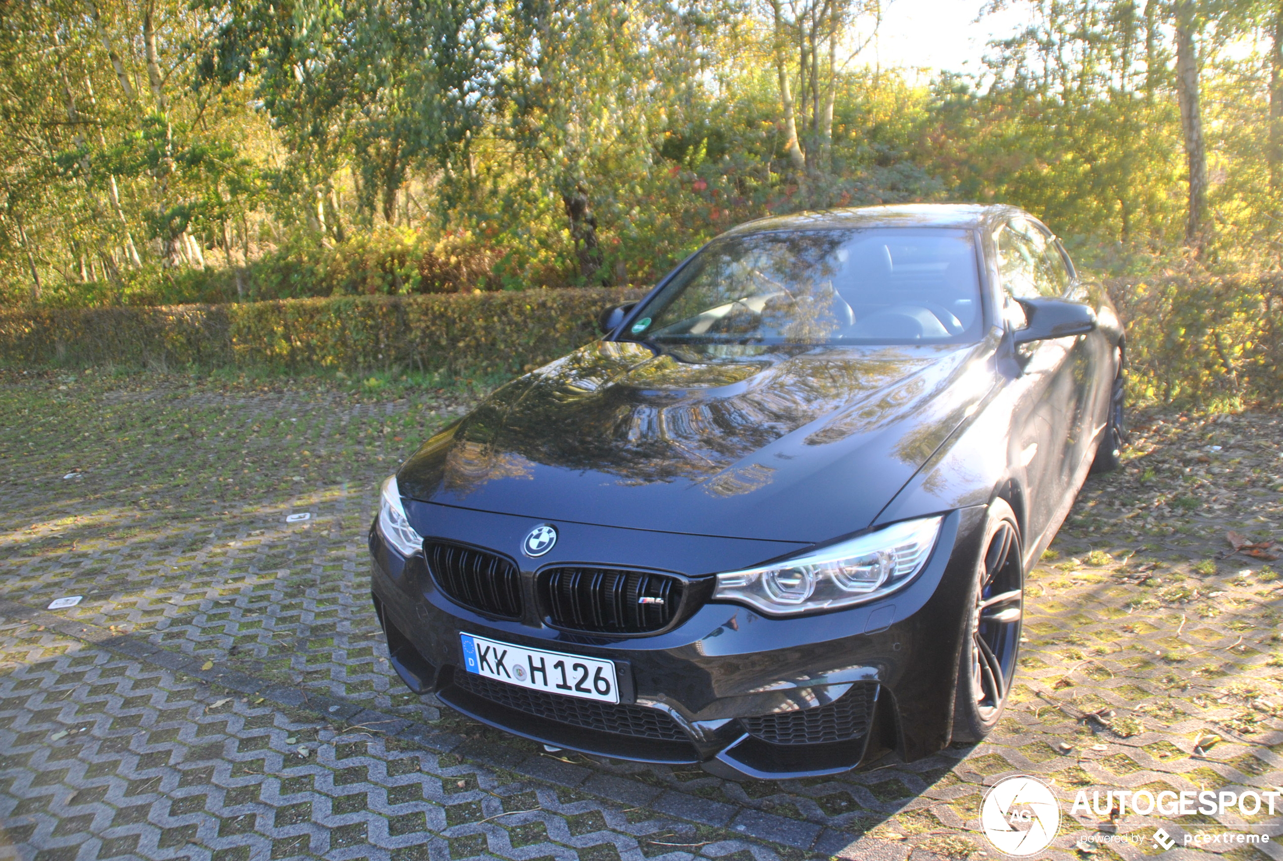 BMW M4 F83 Convertible