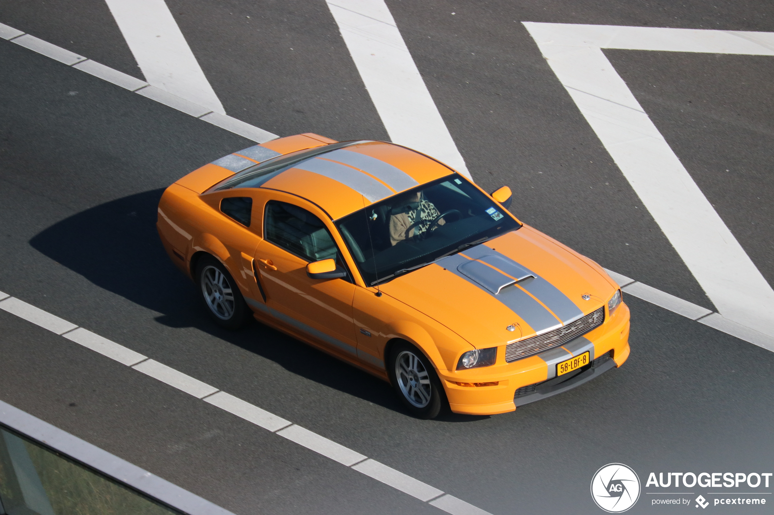 Ford Mustang Shelby GT