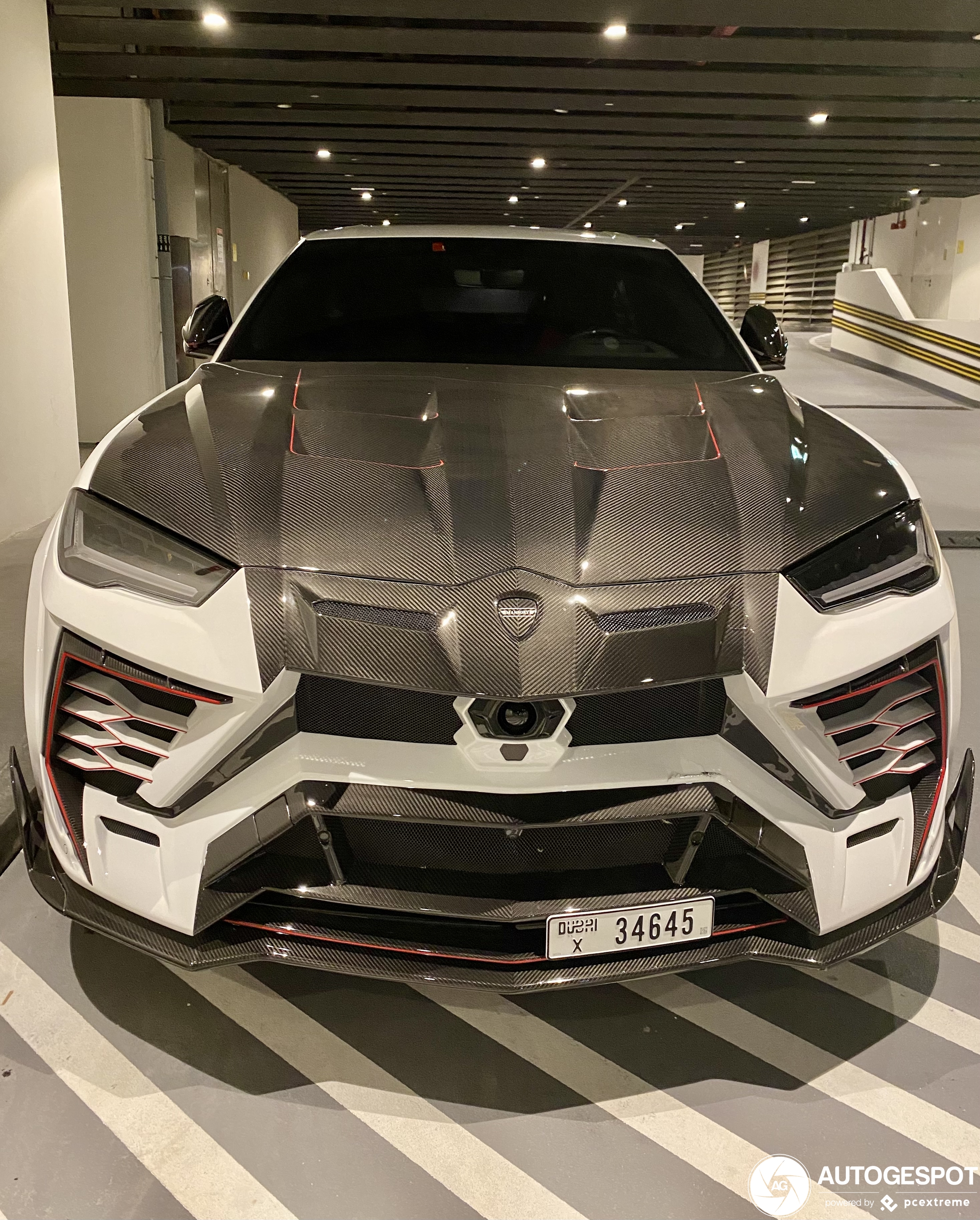 Lamborghini Urus Mansory Venatus