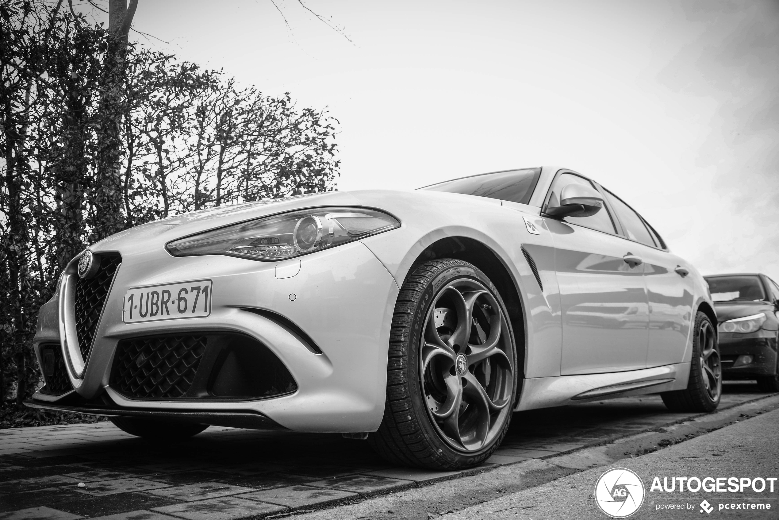 Alfa Romeo Giulia Quadrifoglio