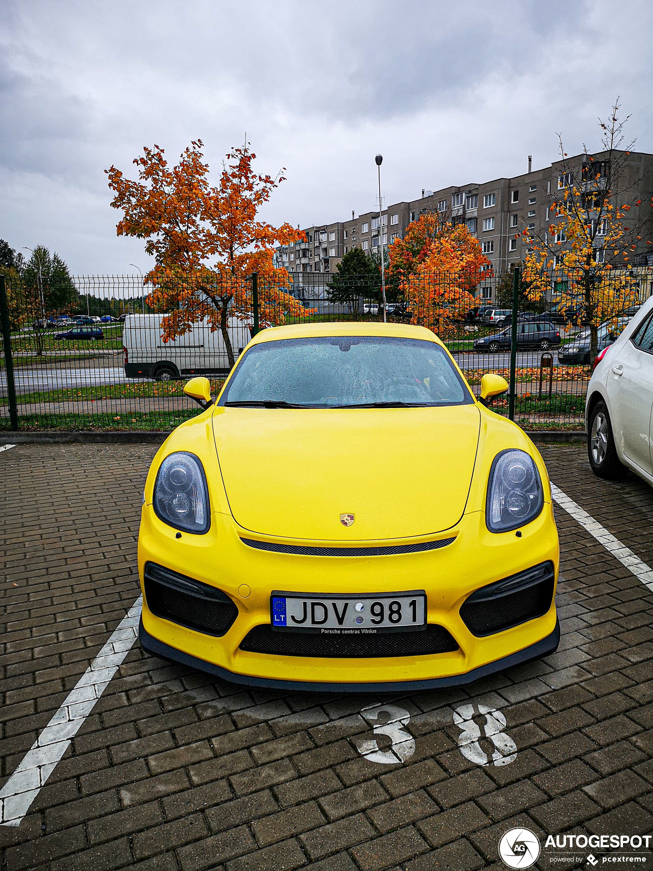 Porsche 981 Cayman GT4