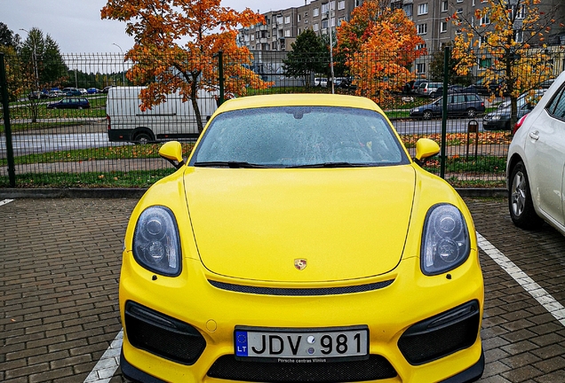 Porsche 981 Cayman GT4