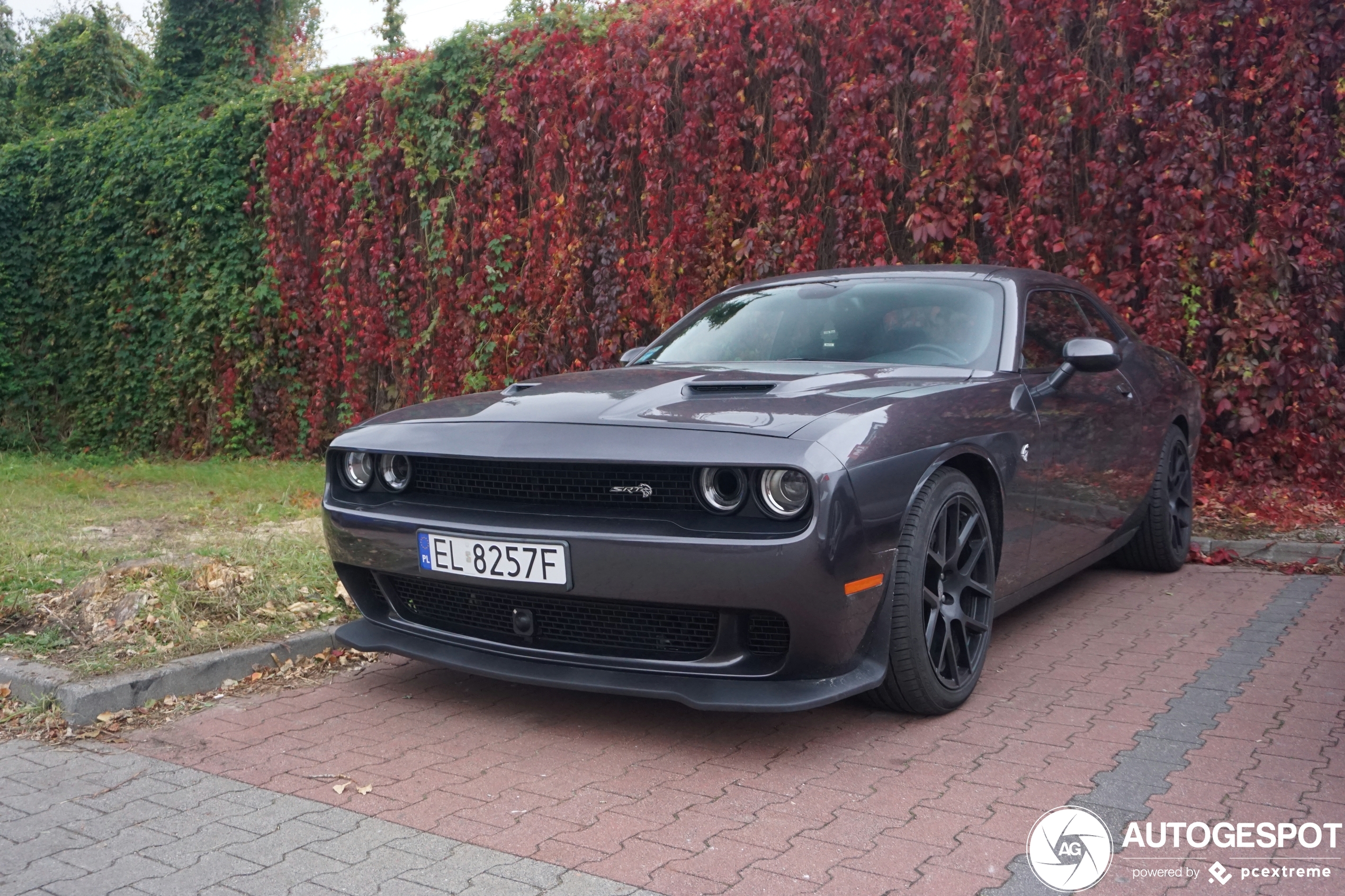 Dodge Challenger SRT Hellcat