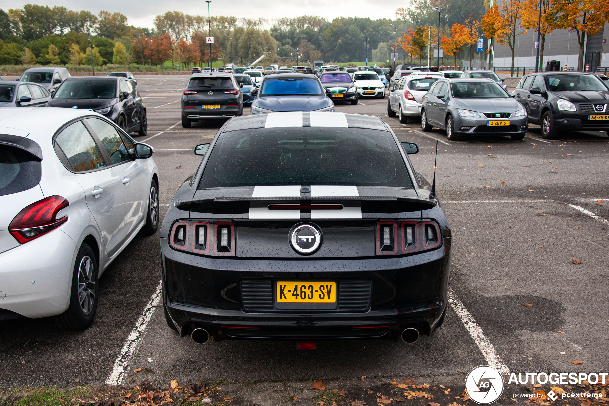 Ford Mustang GT 2013