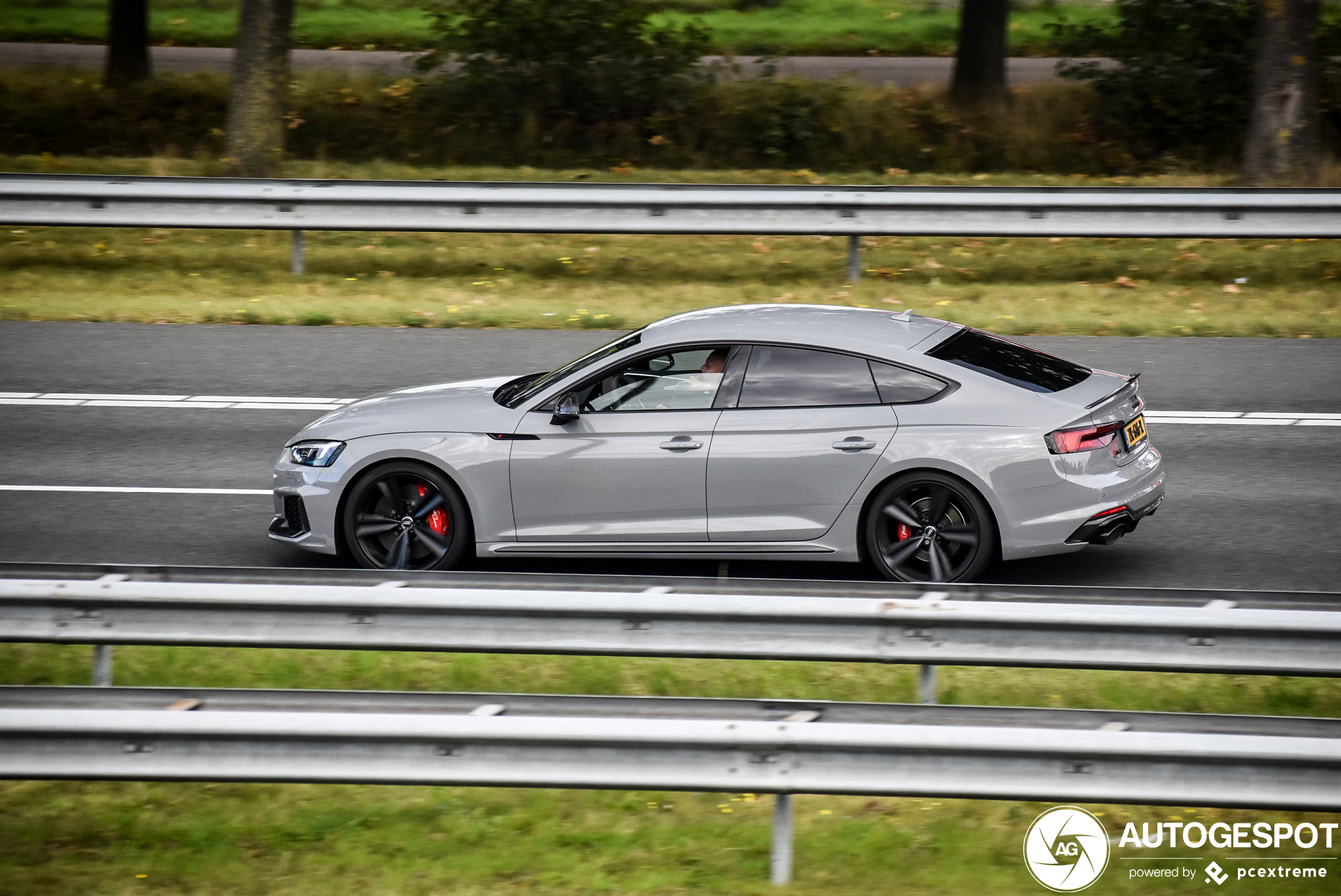 Audi RS5 Sportback B9