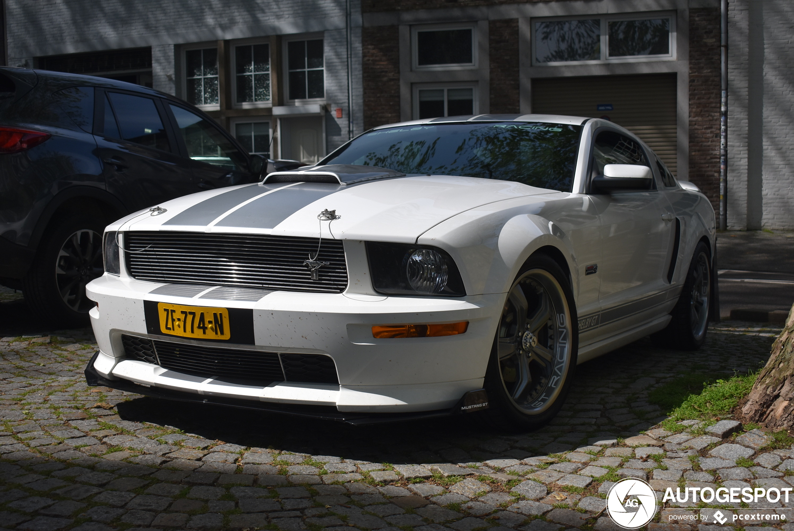 Ford Mustang Shelby GT