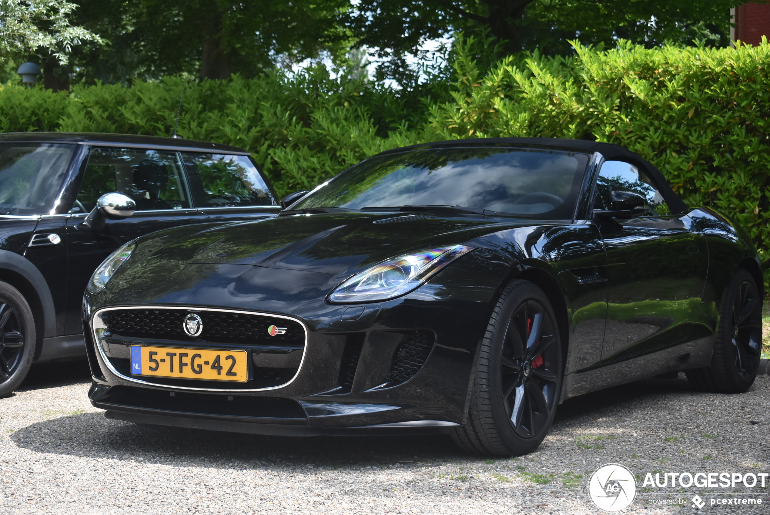 Jaguar F-TYPE S Convertible