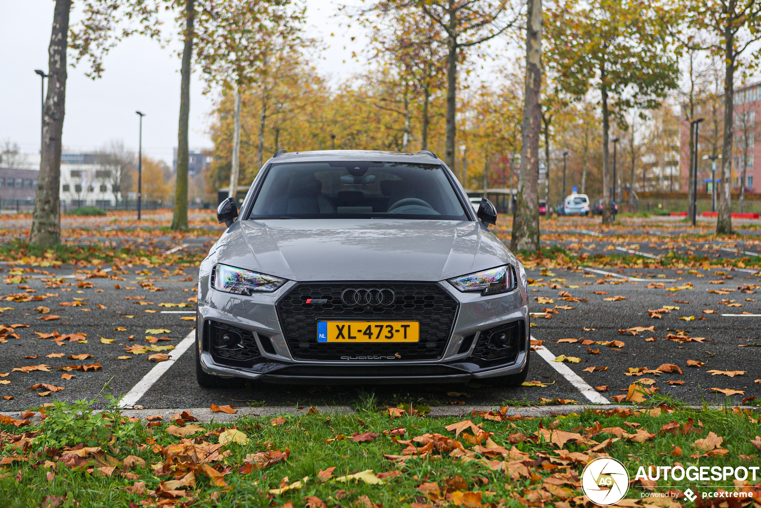 Audi RS4 Avant B9