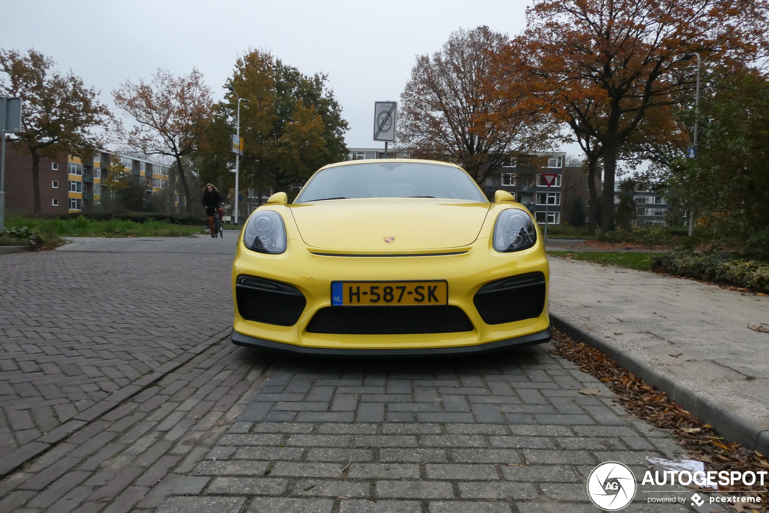 Porsche 981 Cayman GT4