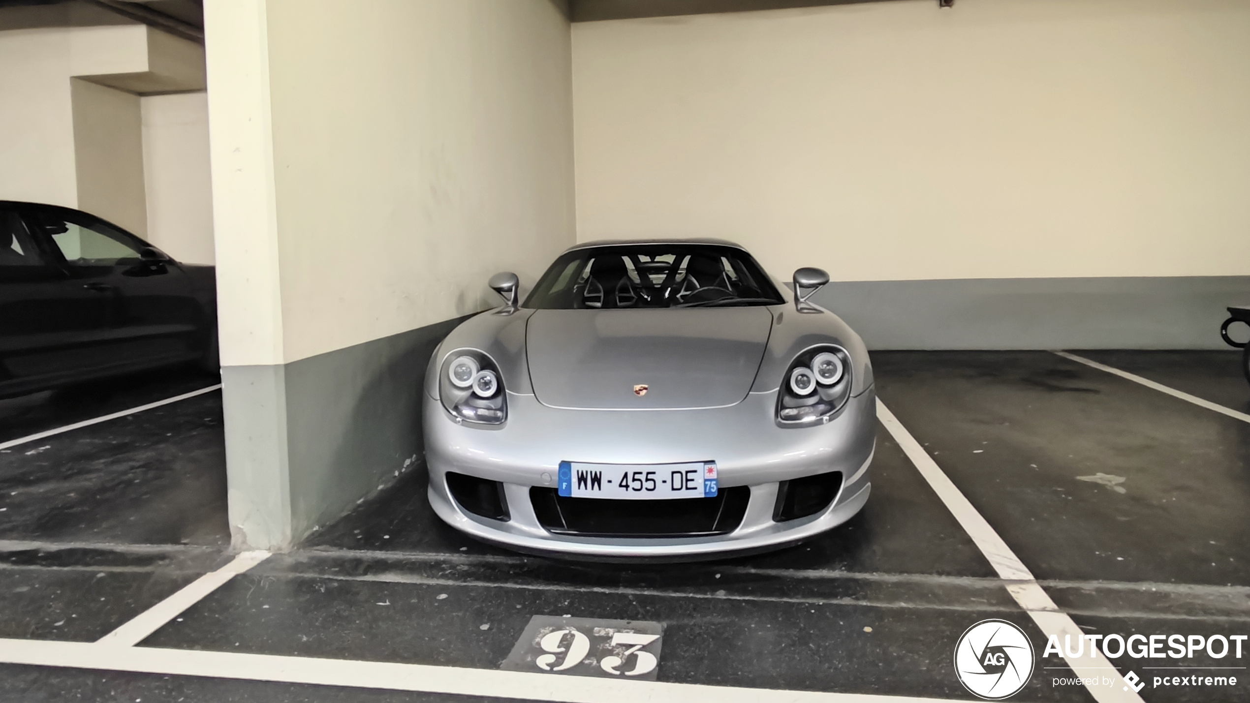 Porsche Carrera GT moederziel alleen gelaten