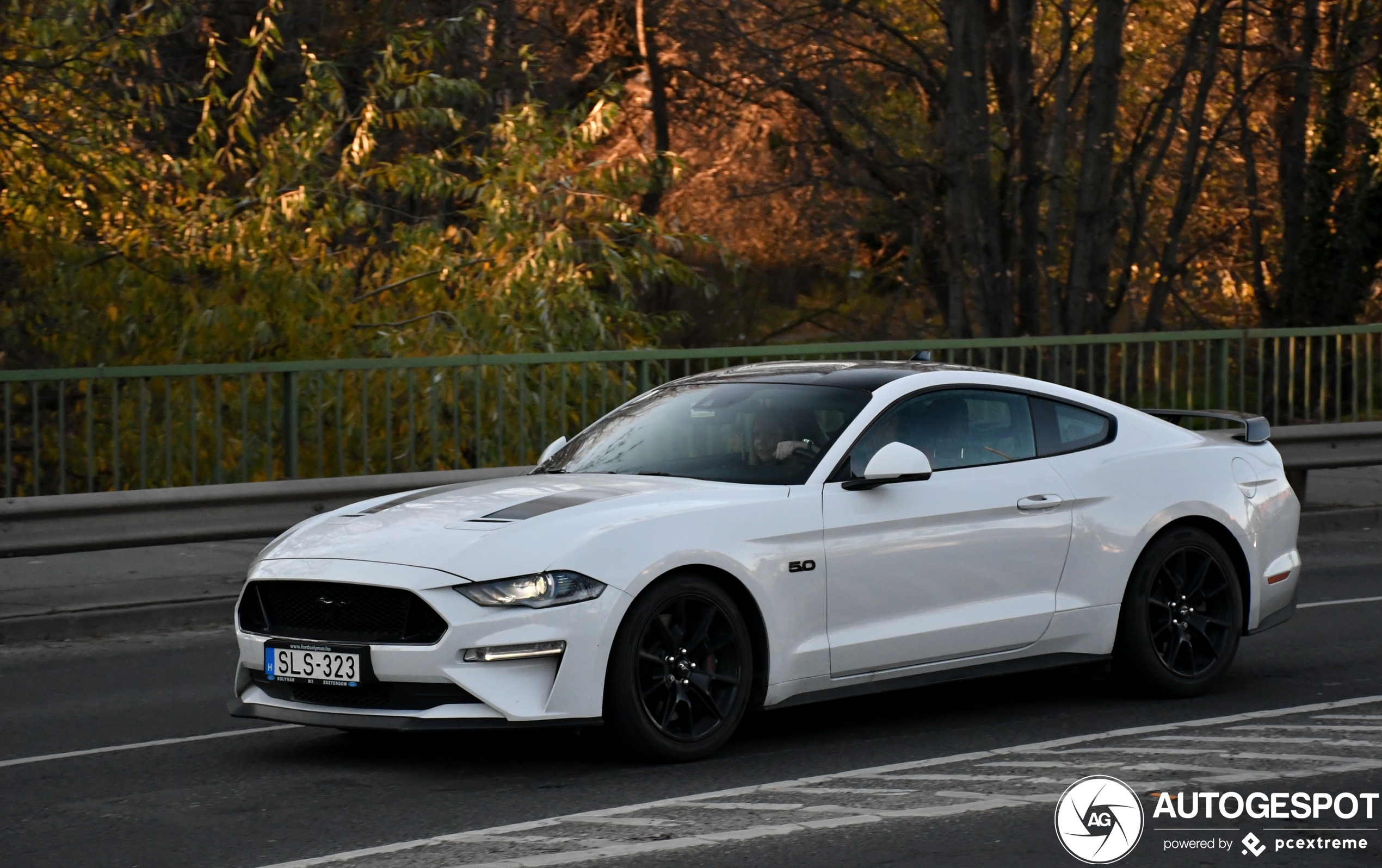 Ford Mustang55 2020