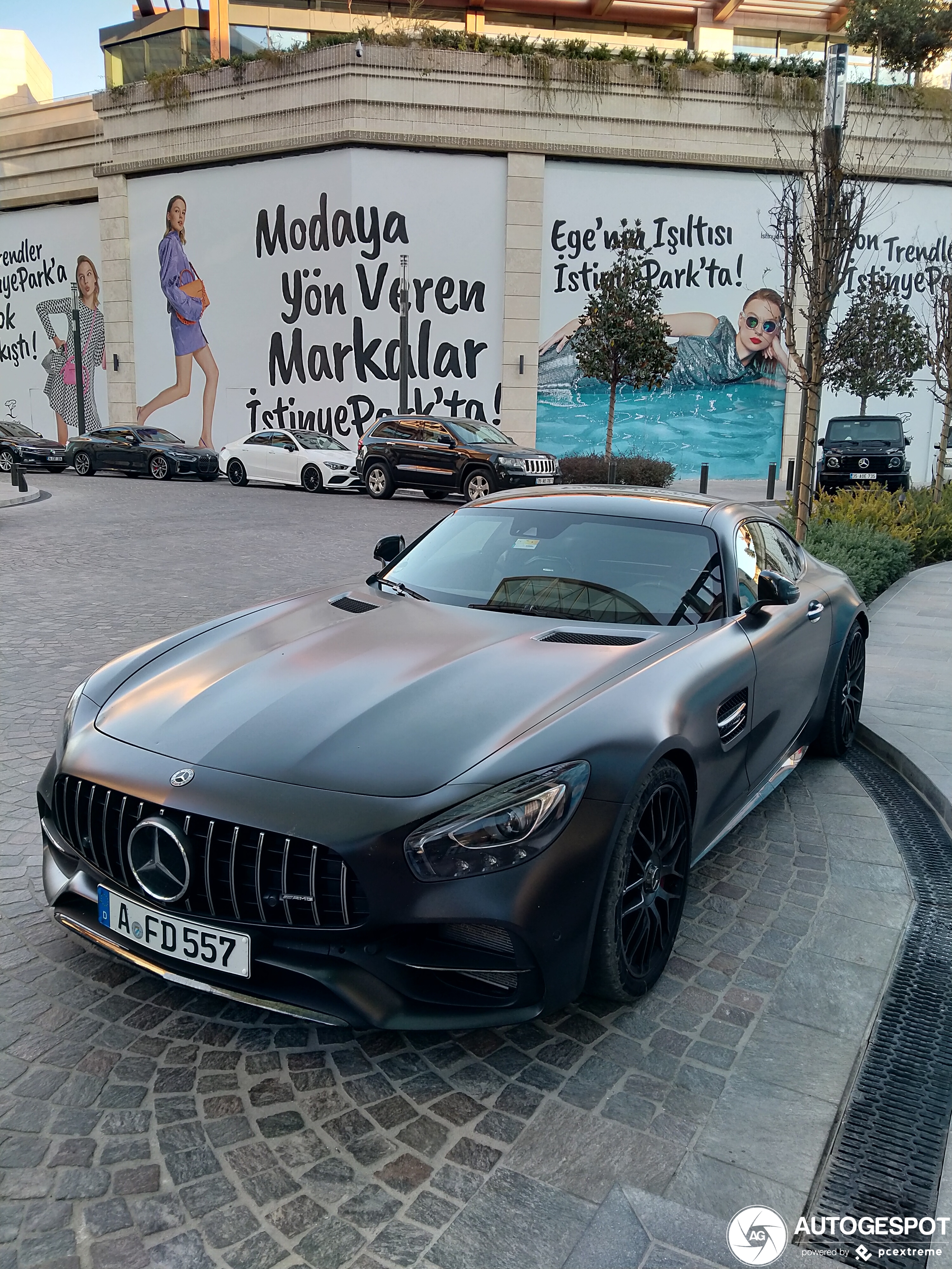 Mercedes-AMG GT C Edition 50 C190 2017