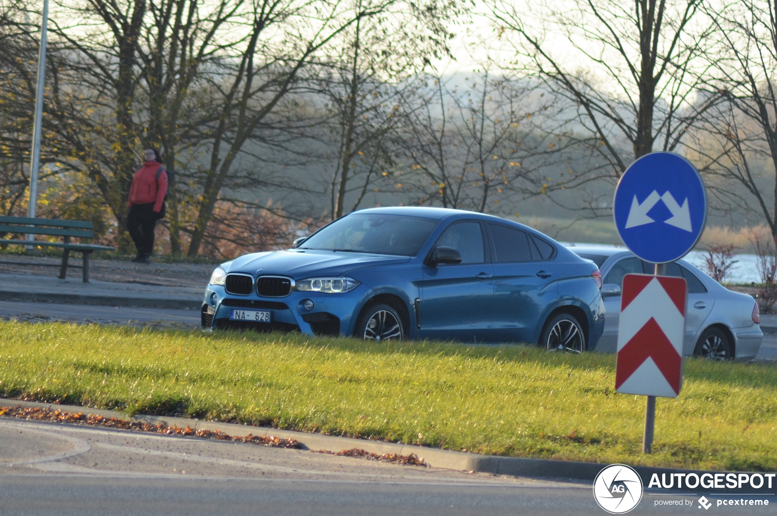 BMW X6 M F86