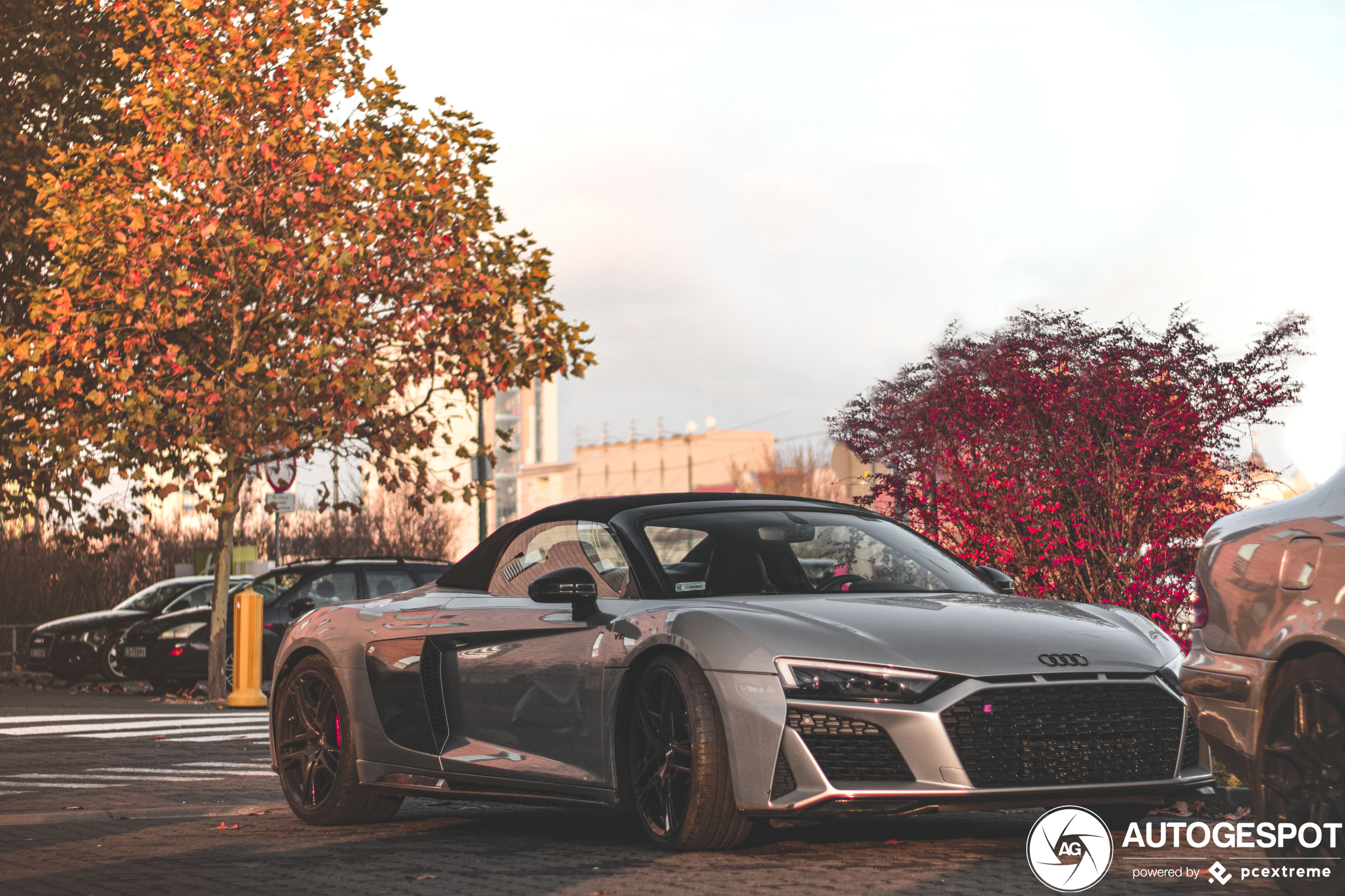 Audi R8 V10 Spyder Performance 2019