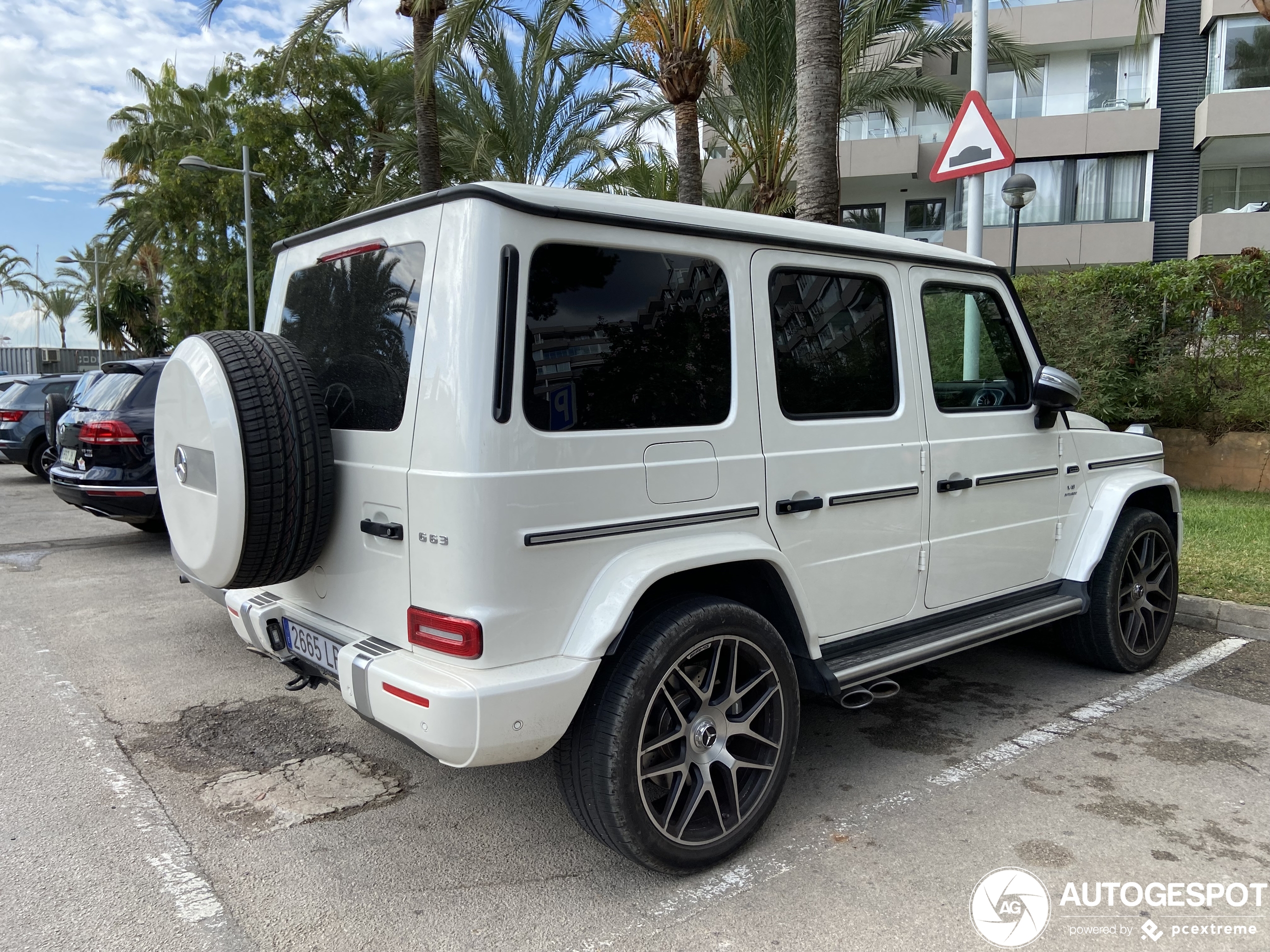 Mercedes-AMG G 63 W463 2018 Stronger Than Time Edition