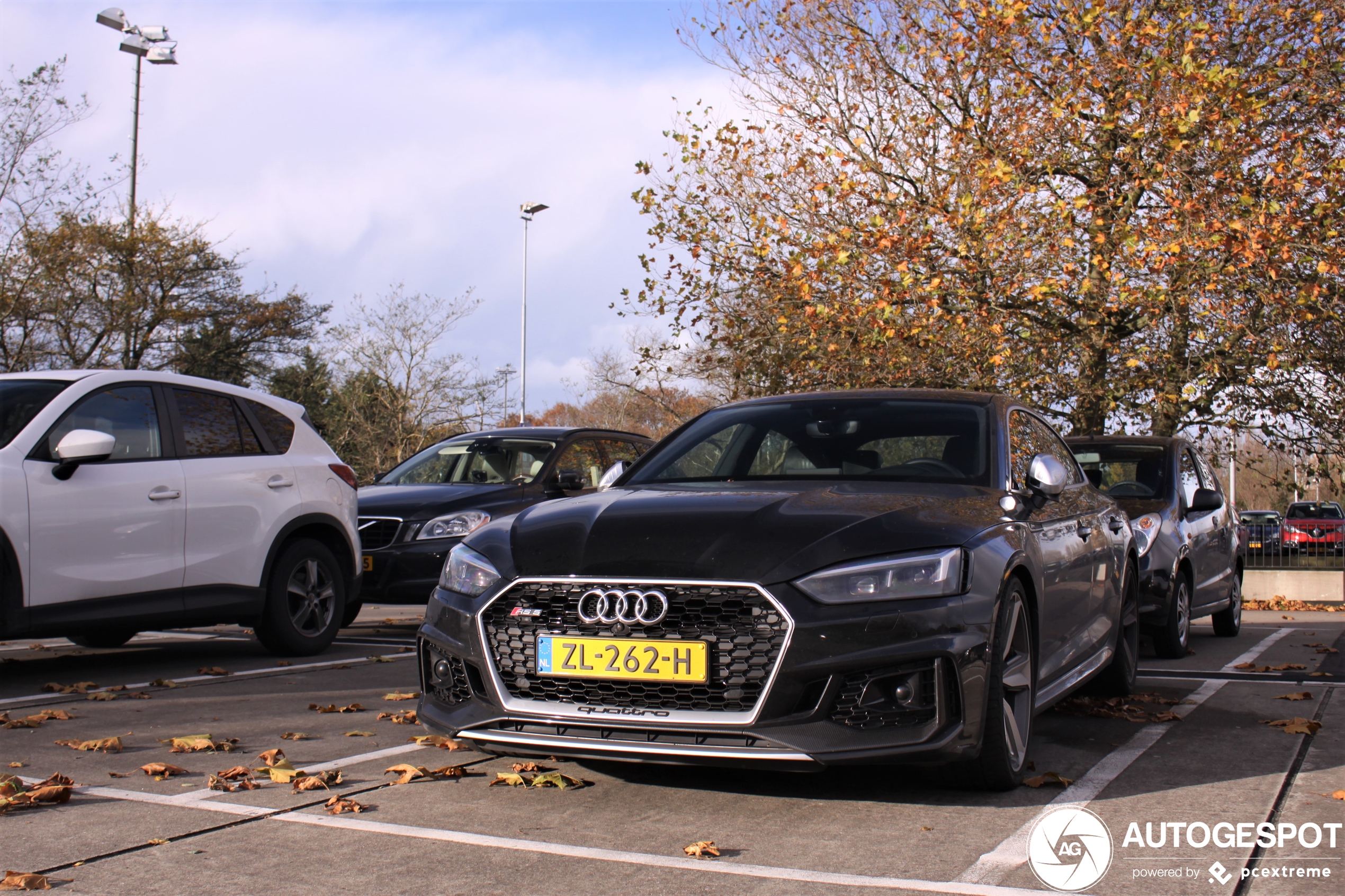 Audi RS5 Sportback B9