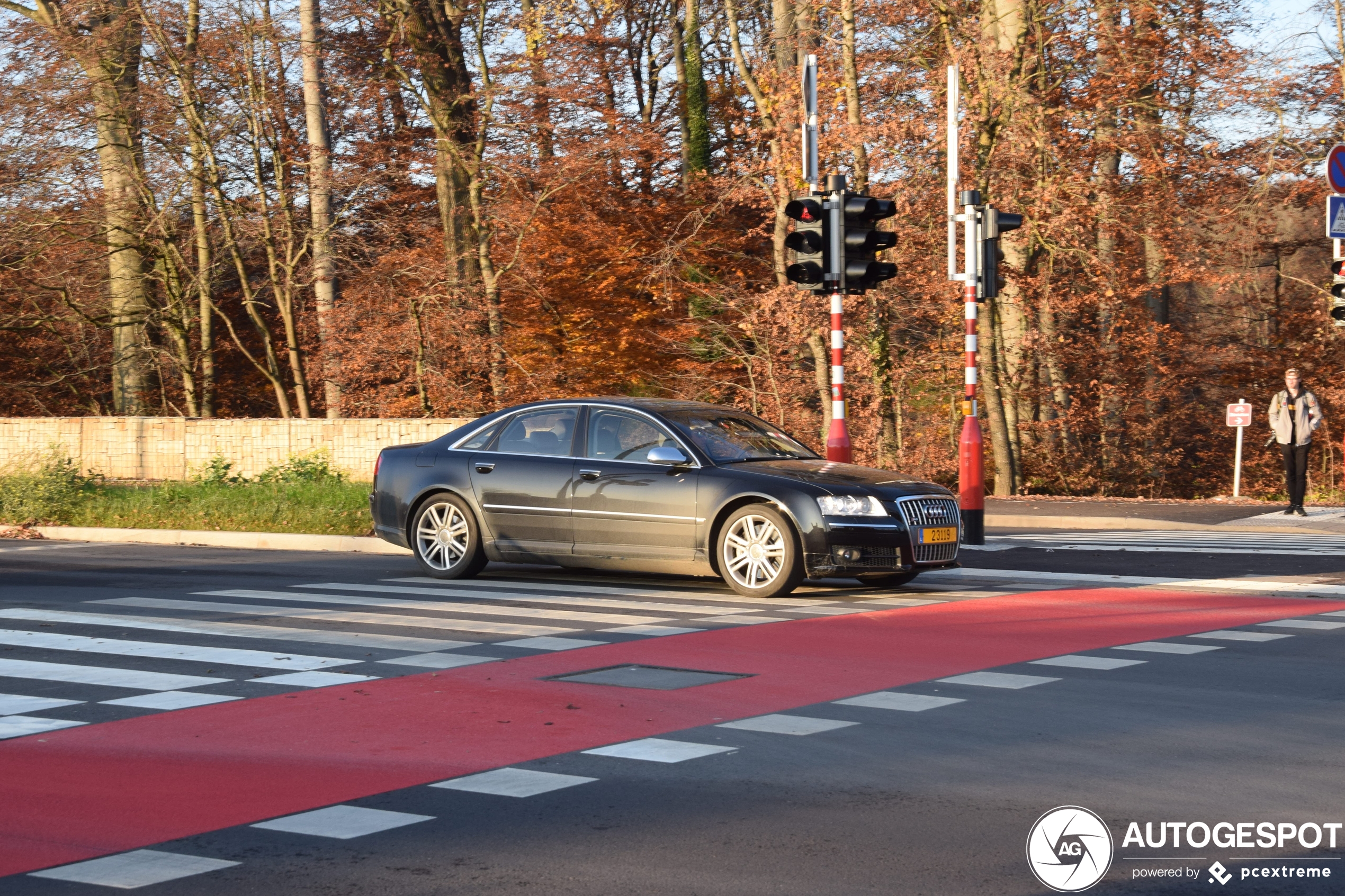 Audi S8 D3