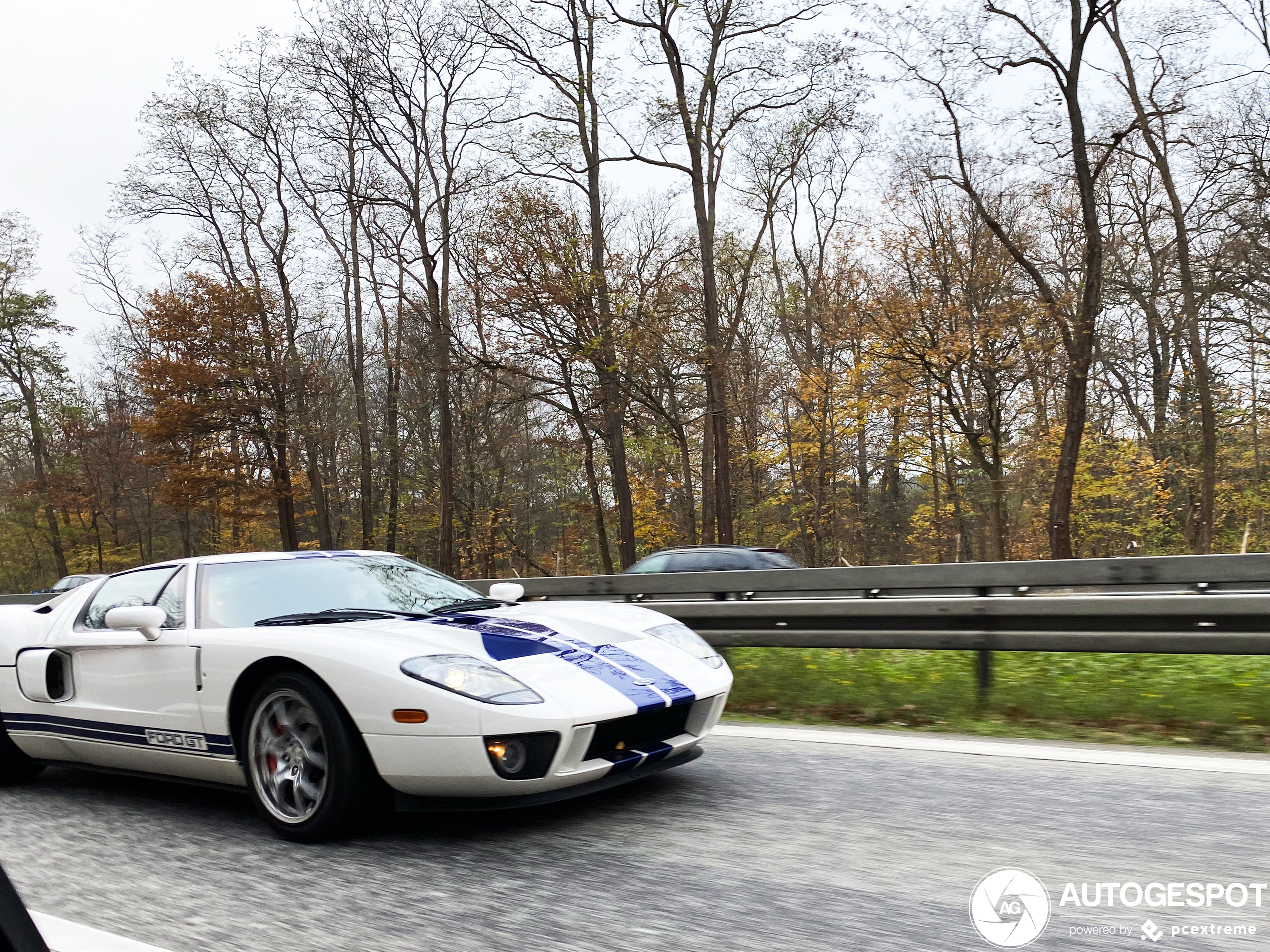 Ford GT