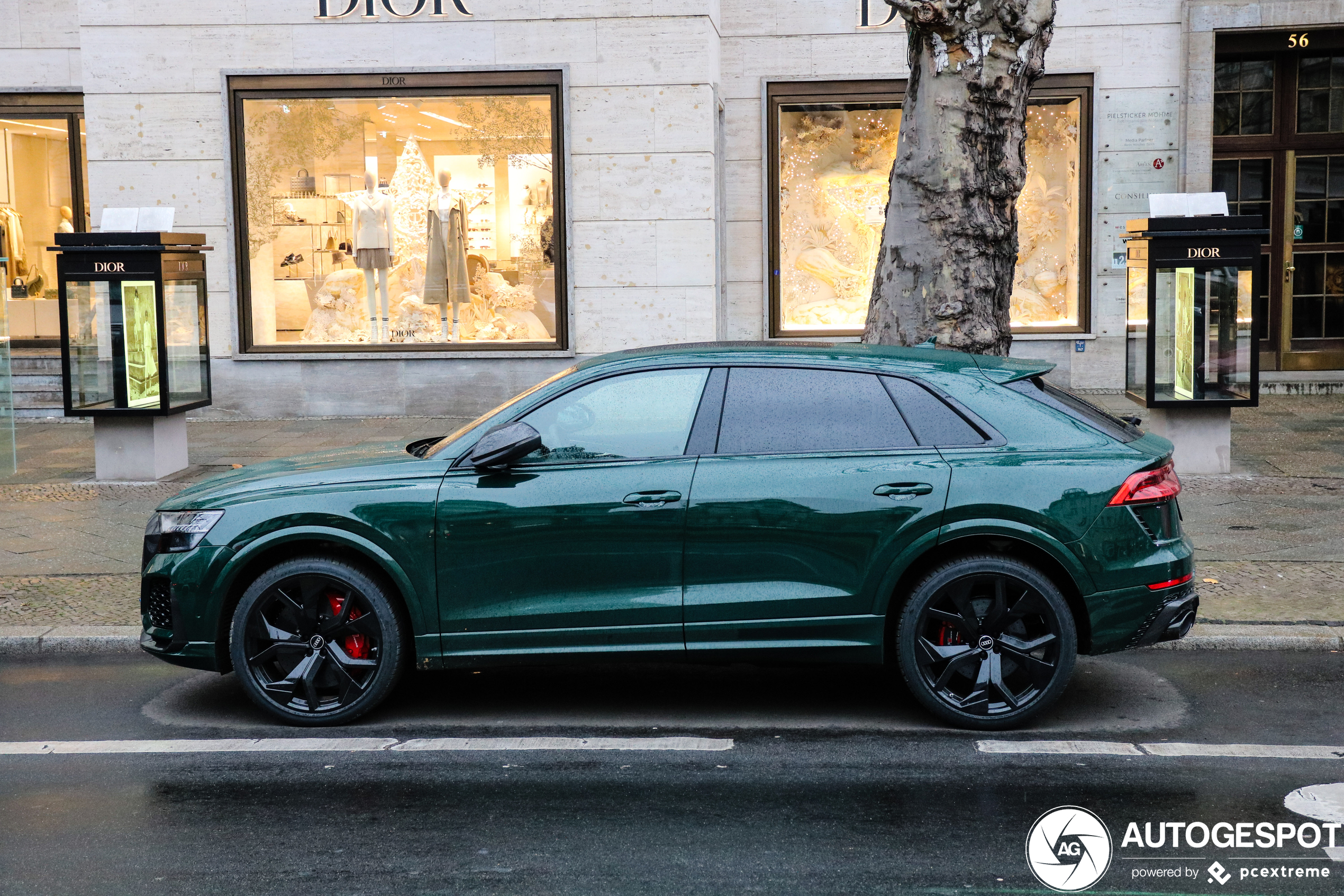 Audi RS Q8