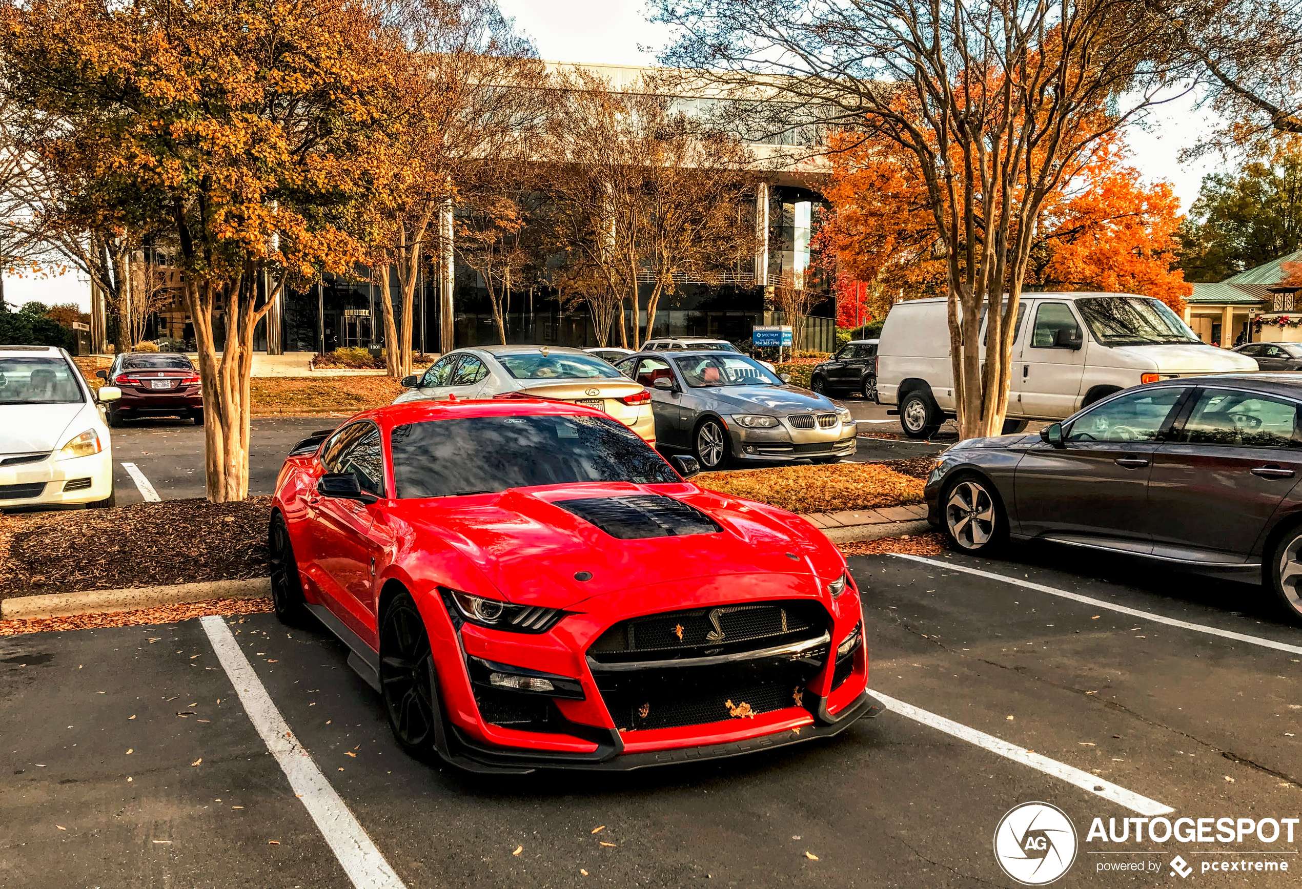 Ford Mustang Shelby GT500 2020