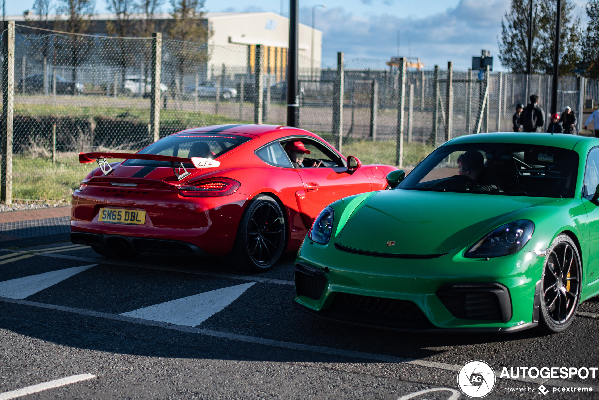 Porsche 981 Cayman GT4