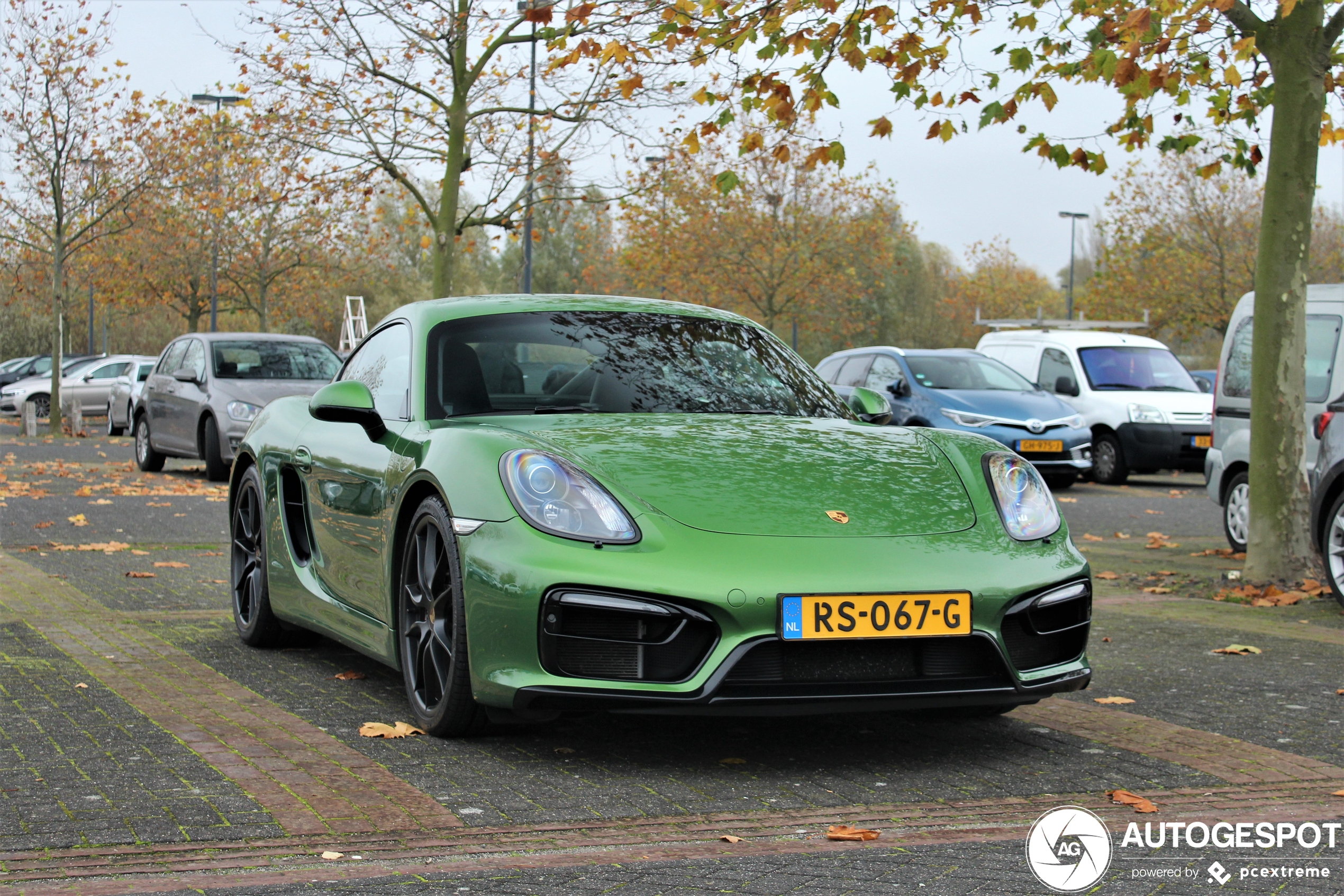 Porsche 981 Cayman GTS