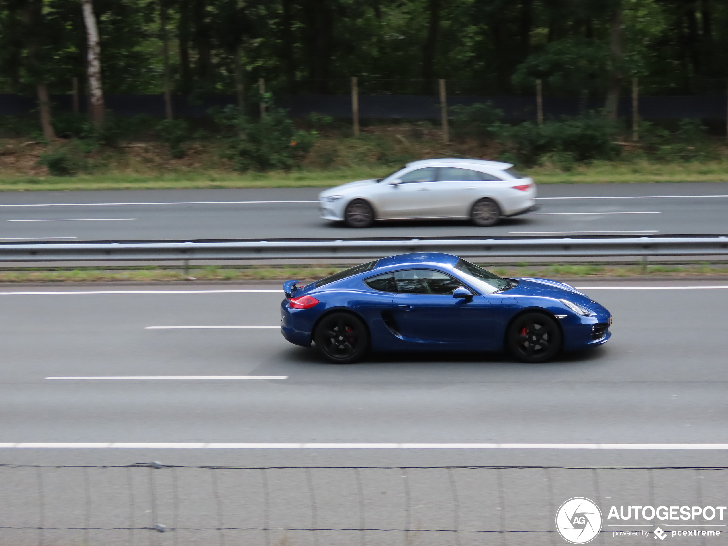 Porsche 981 Cayman S