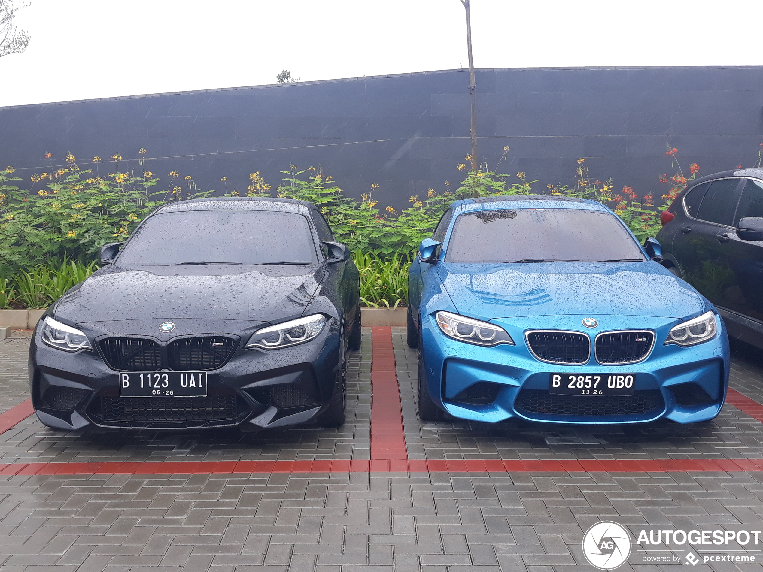 BMW M2 Coupé F87 2018 Competition