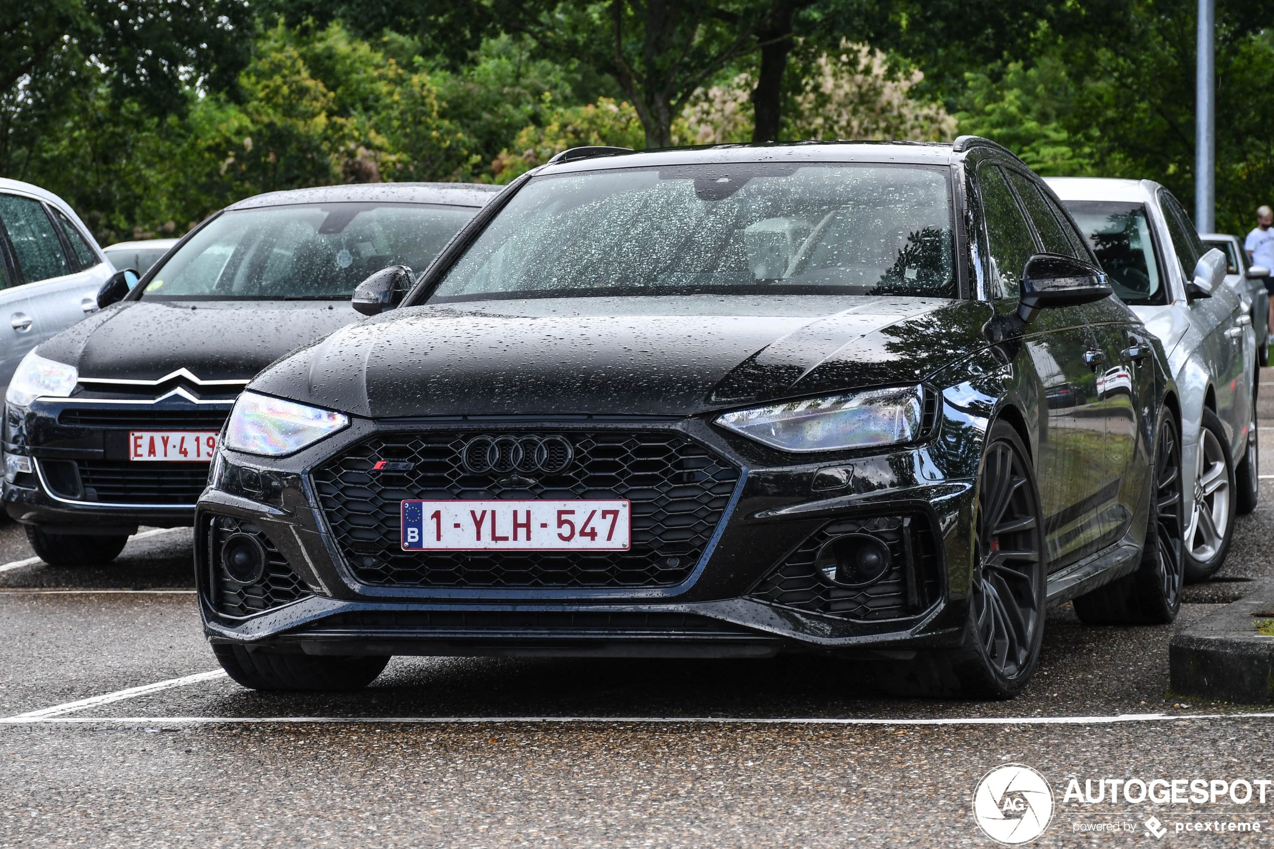 Audi RS4 Avant B9 2020