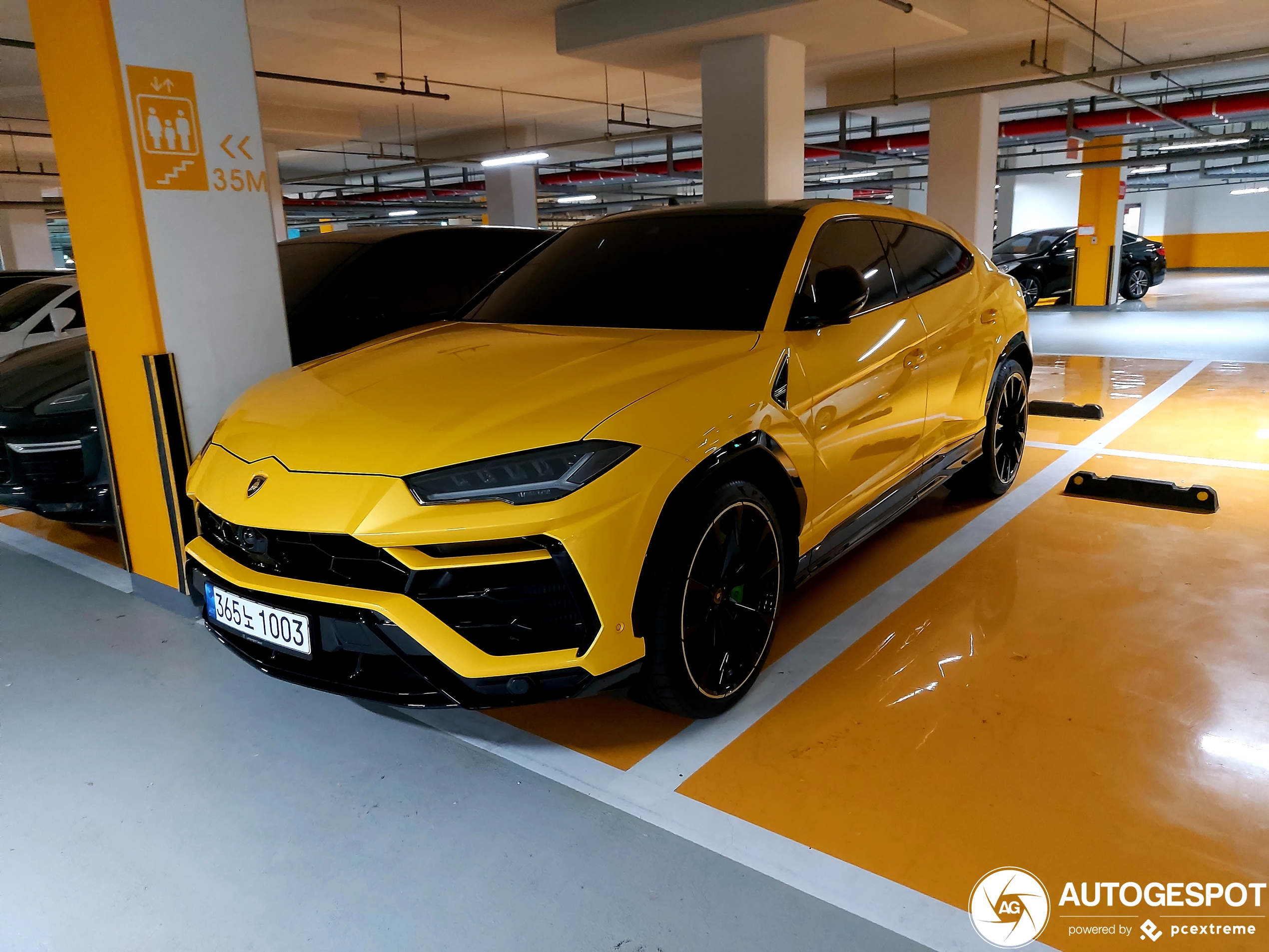 Lamborghini Urus