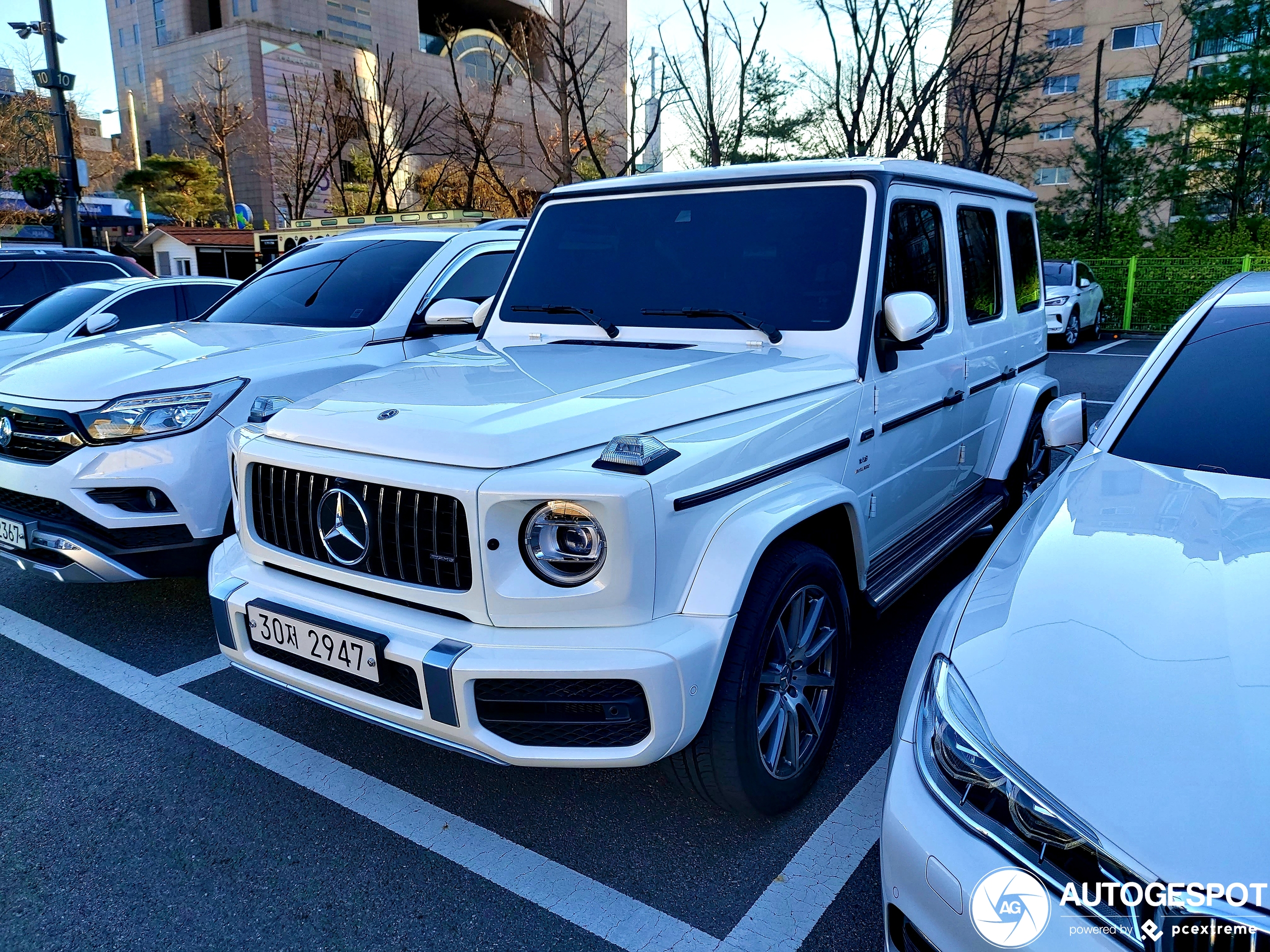 Mercedes-AMG G 63 W463 2018