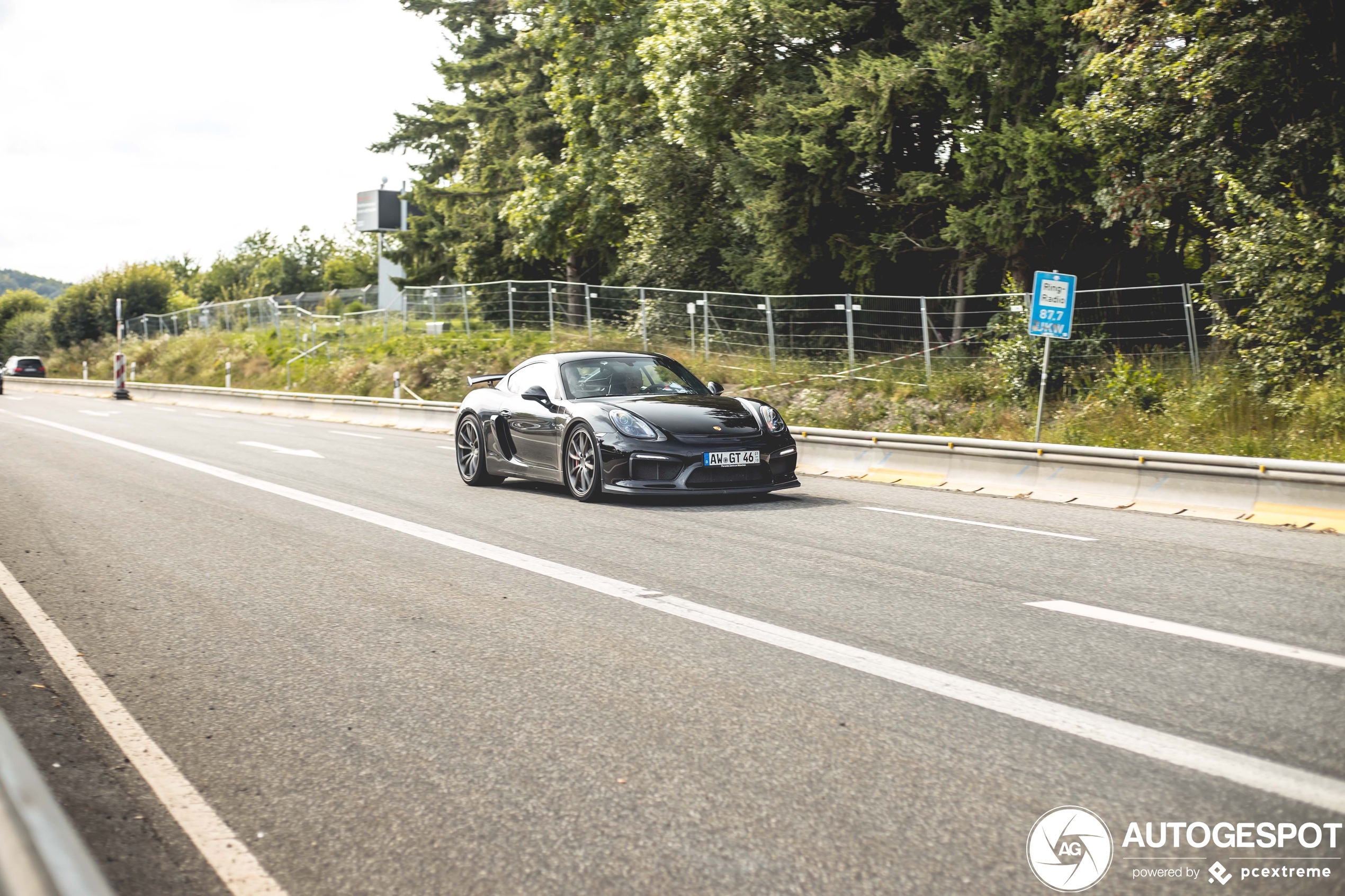 Porsche 981 Cayman GT4