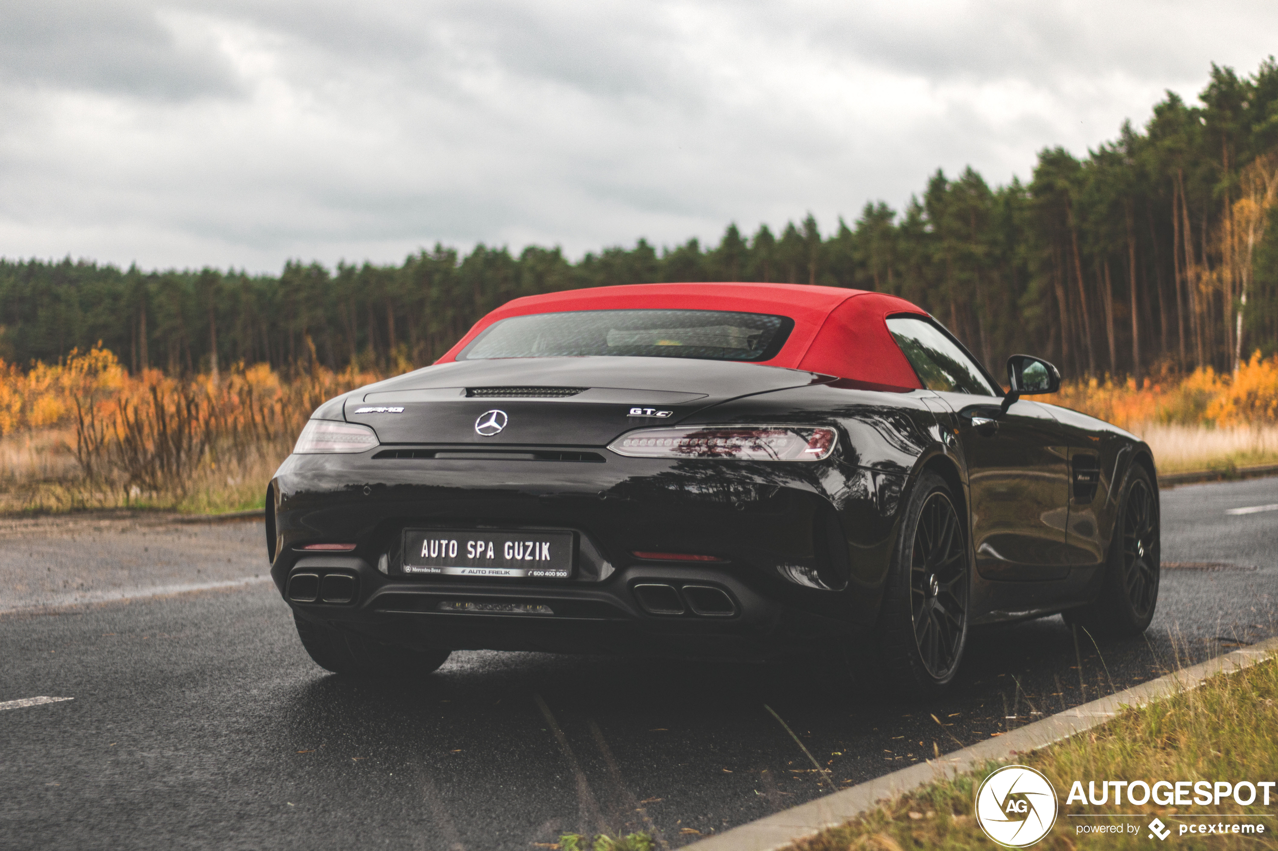 Mercedes-AMG GT C Roadster R190 2019