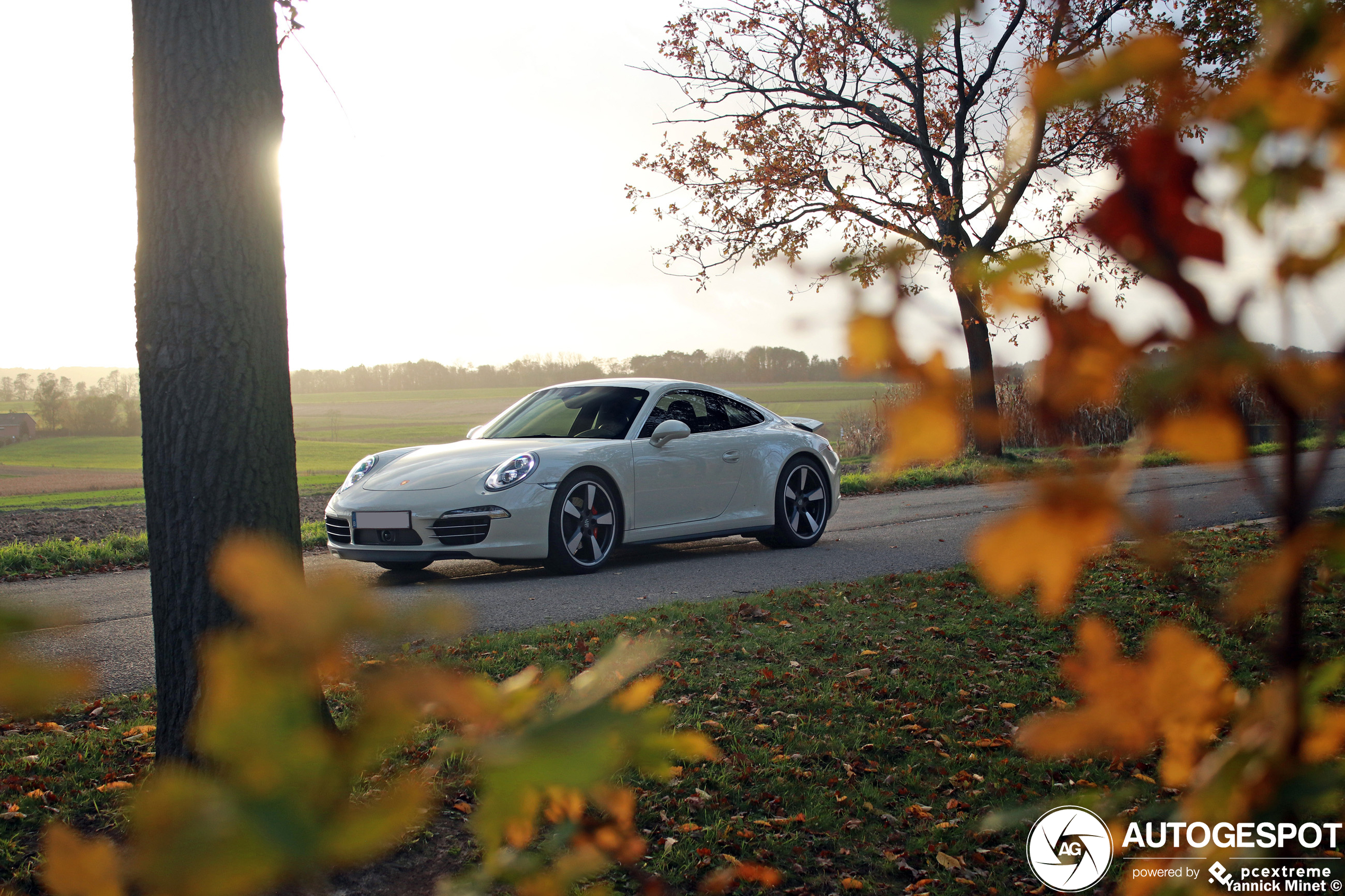 Porsche 991 50th Anniversary Edition