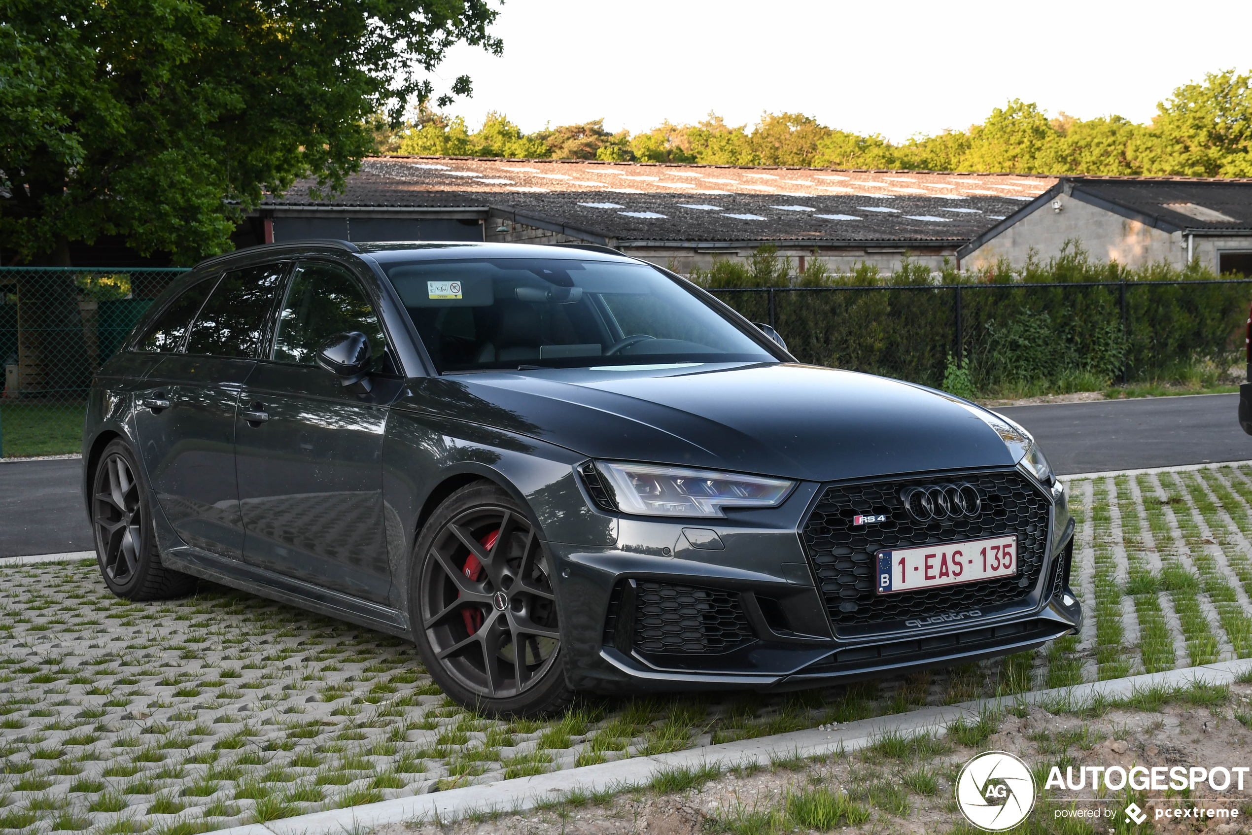 Audi RS4 Avant B9