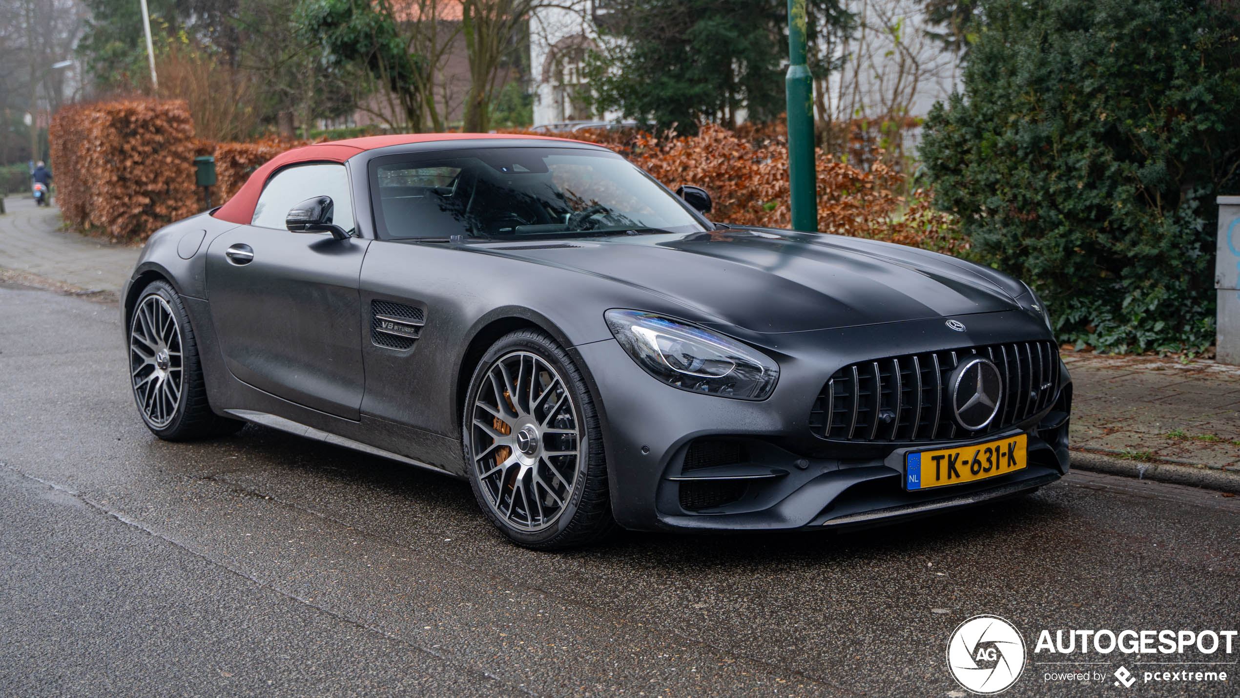 Mercedes-AMG GT C Roadster R190 Edition 50