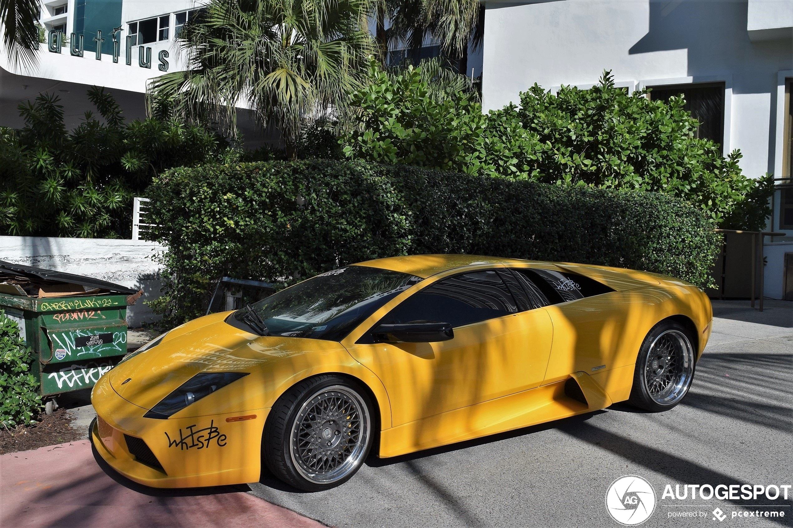 Gele Murciélago in zonnig Florida gespot