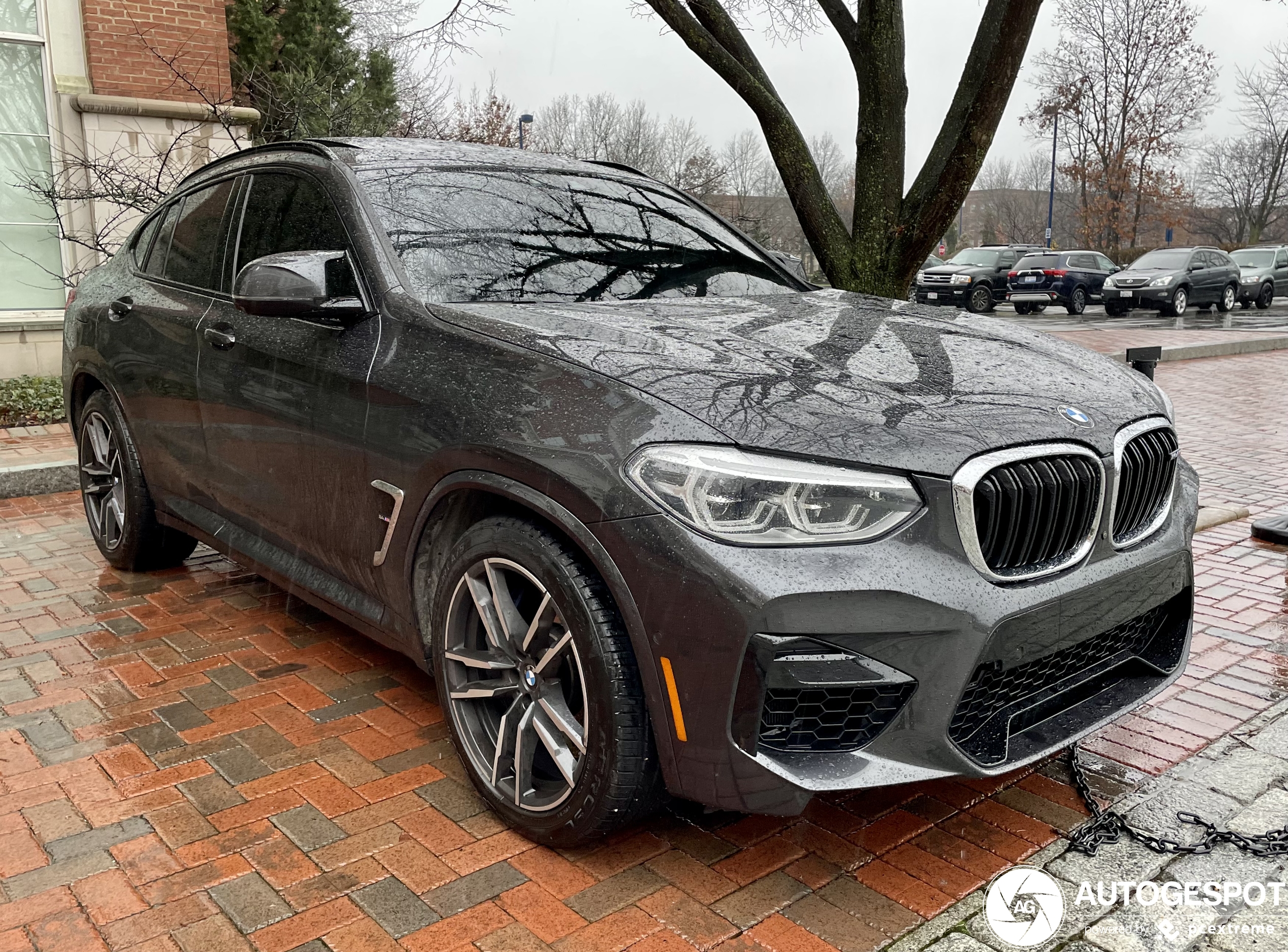 BMW X4 M F98