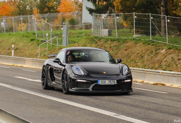 Porsche 981 Cayman GT4
