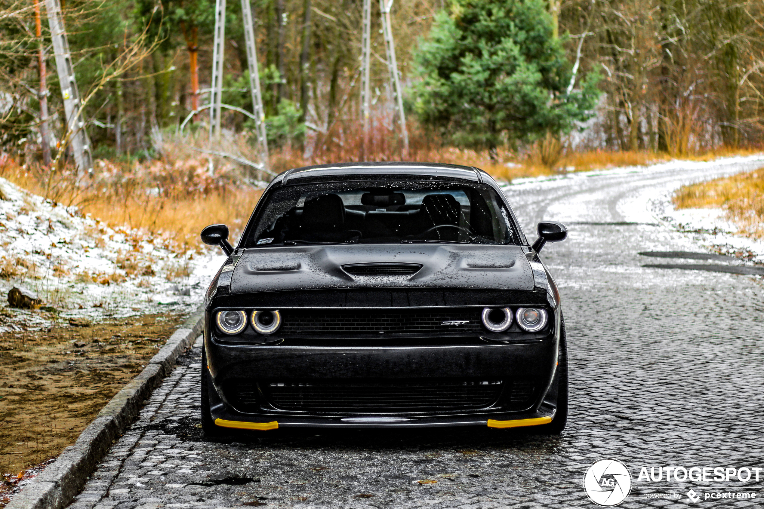 Dodge Challenger SRT 392 2015