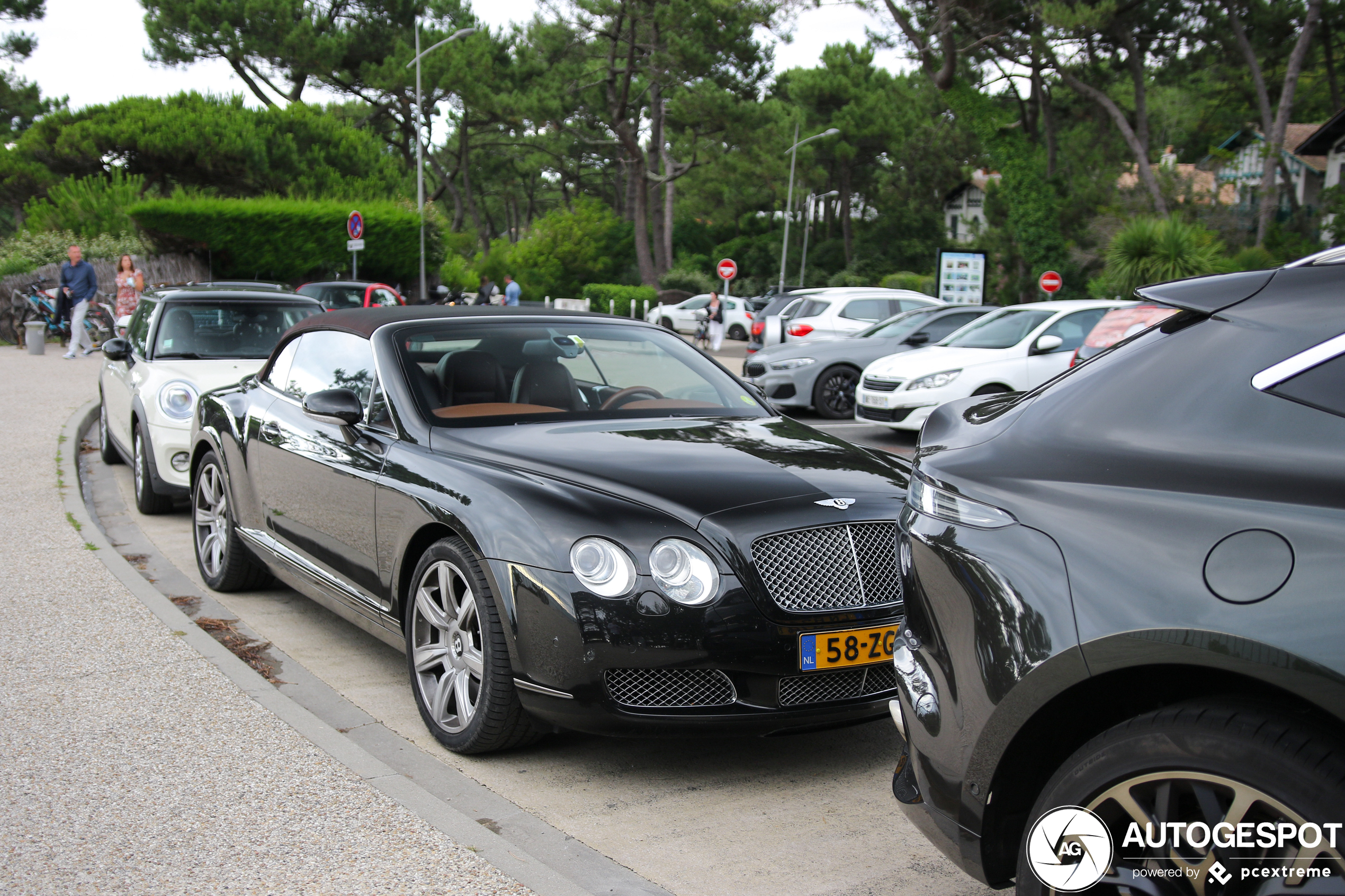 Bentley Continental GTC