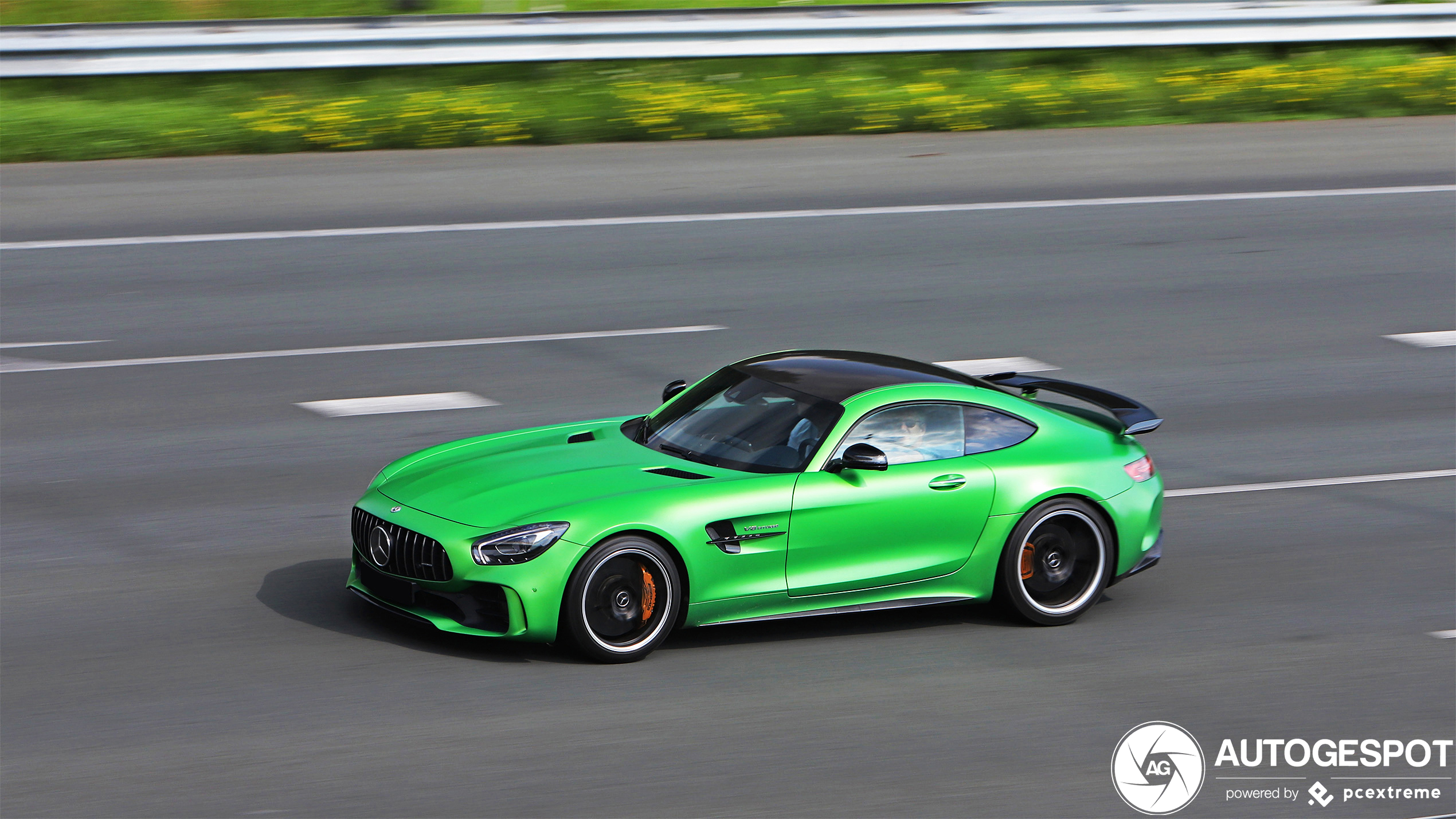 Mercedes-AMG GT R C190