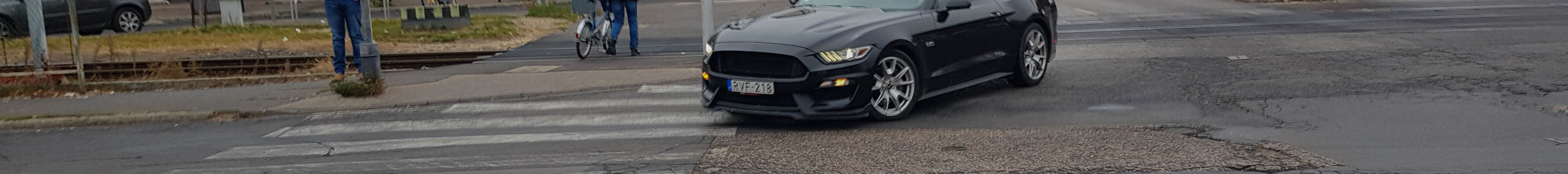 Ford Mustang GT 50th Anniversary Edition