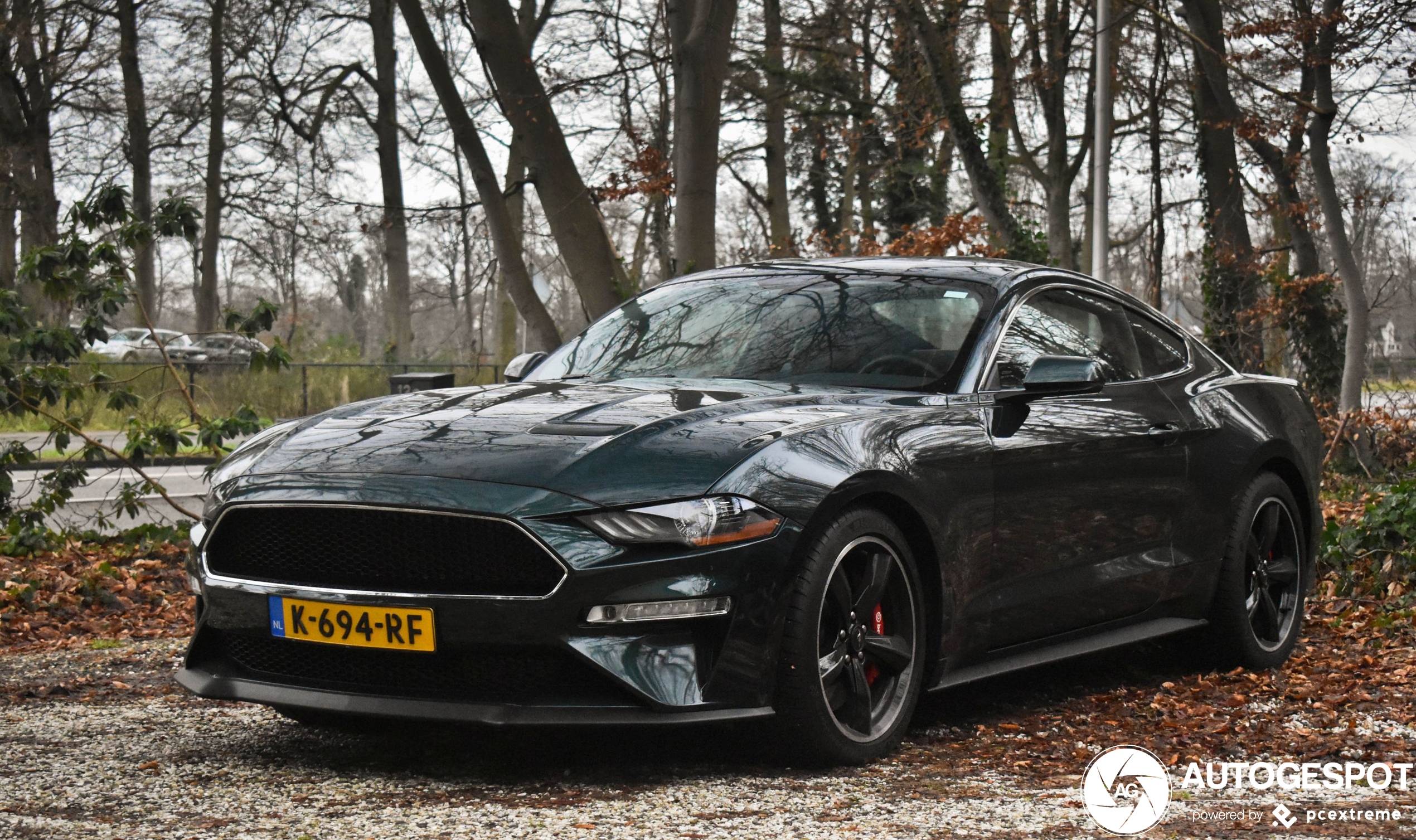 Ford Mustang Bullitt 2019