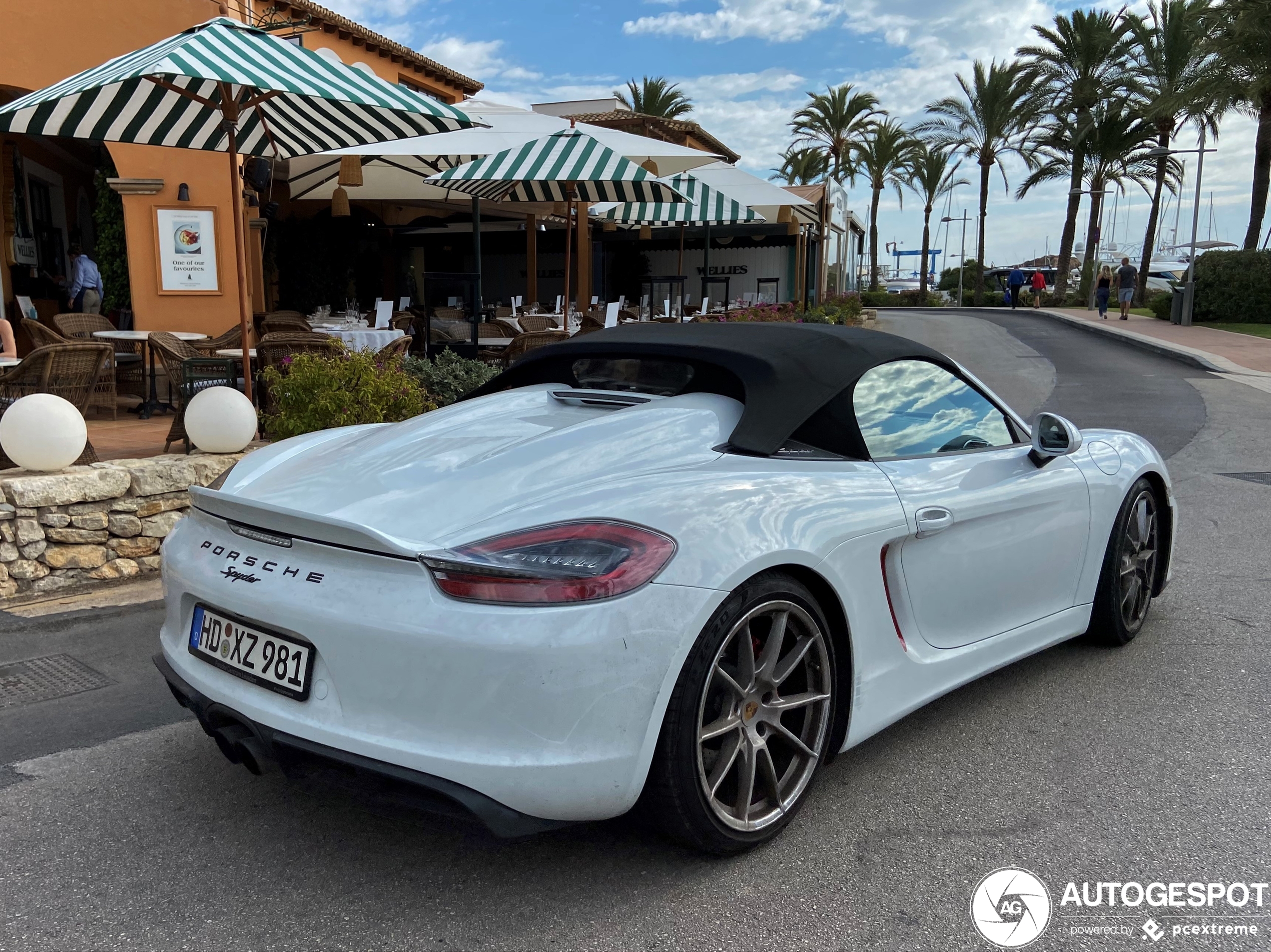 Porsche 981 Boxster Spyder