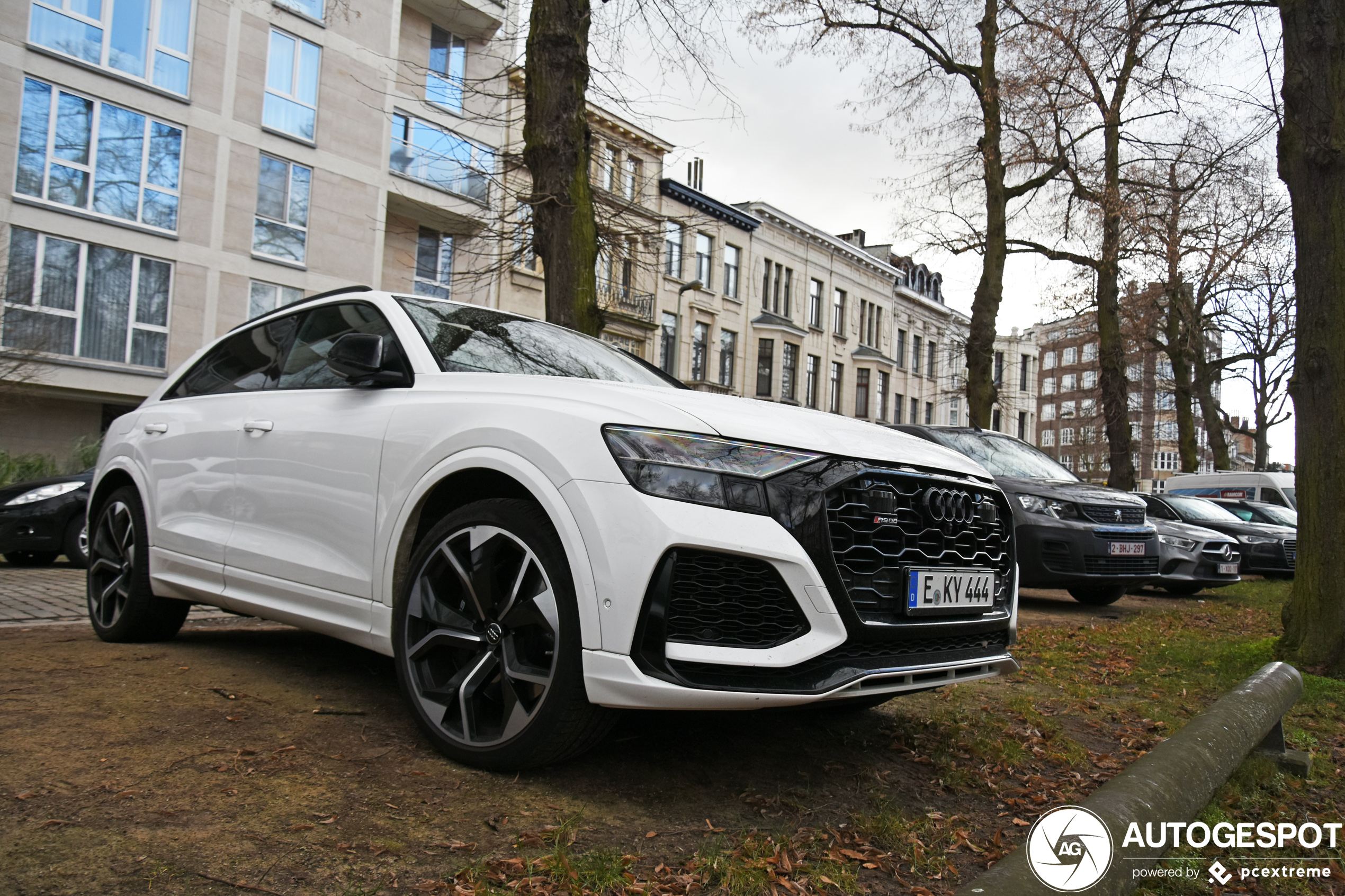 Audi RS Q8