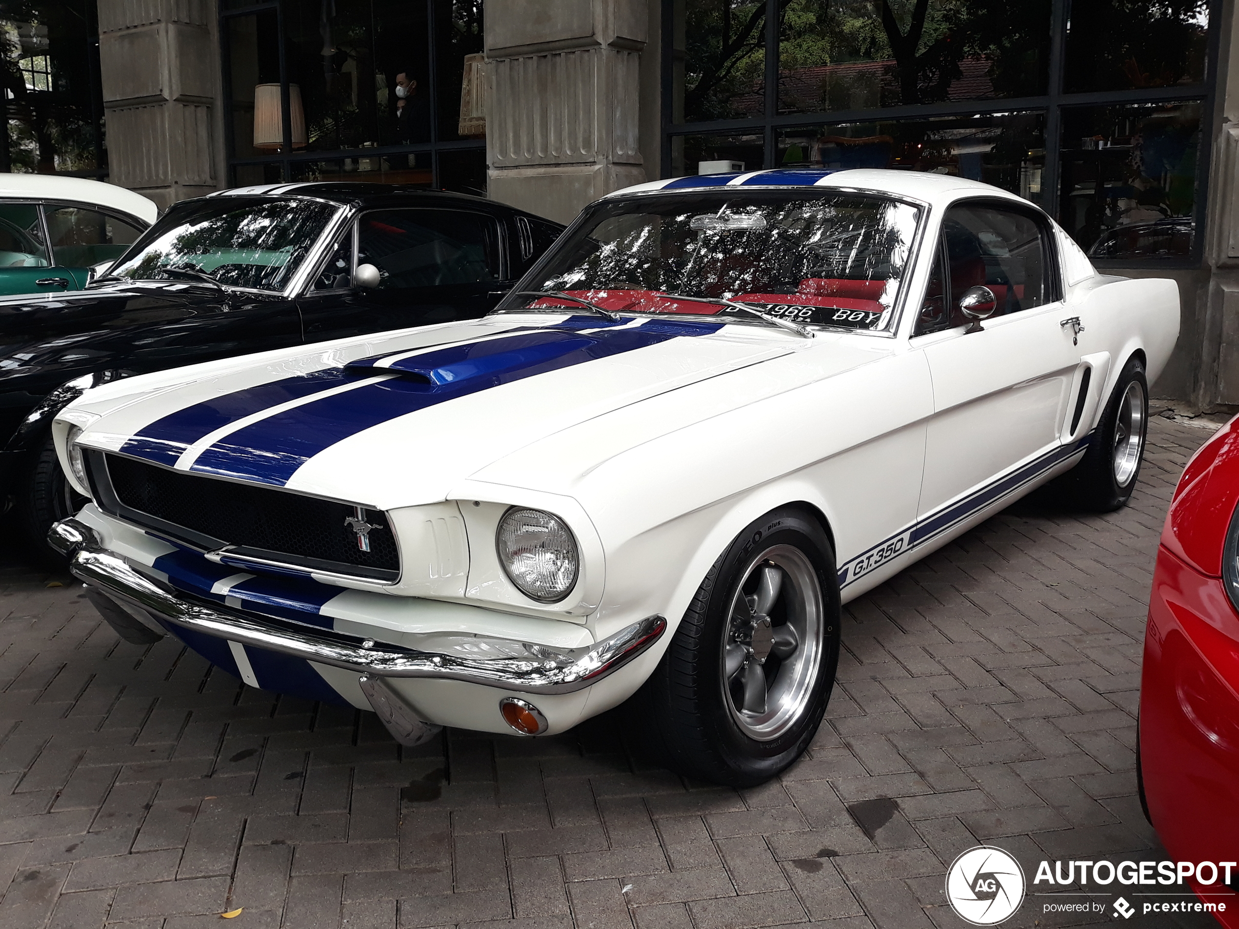 Ford Mustang Shelby G.T. 350